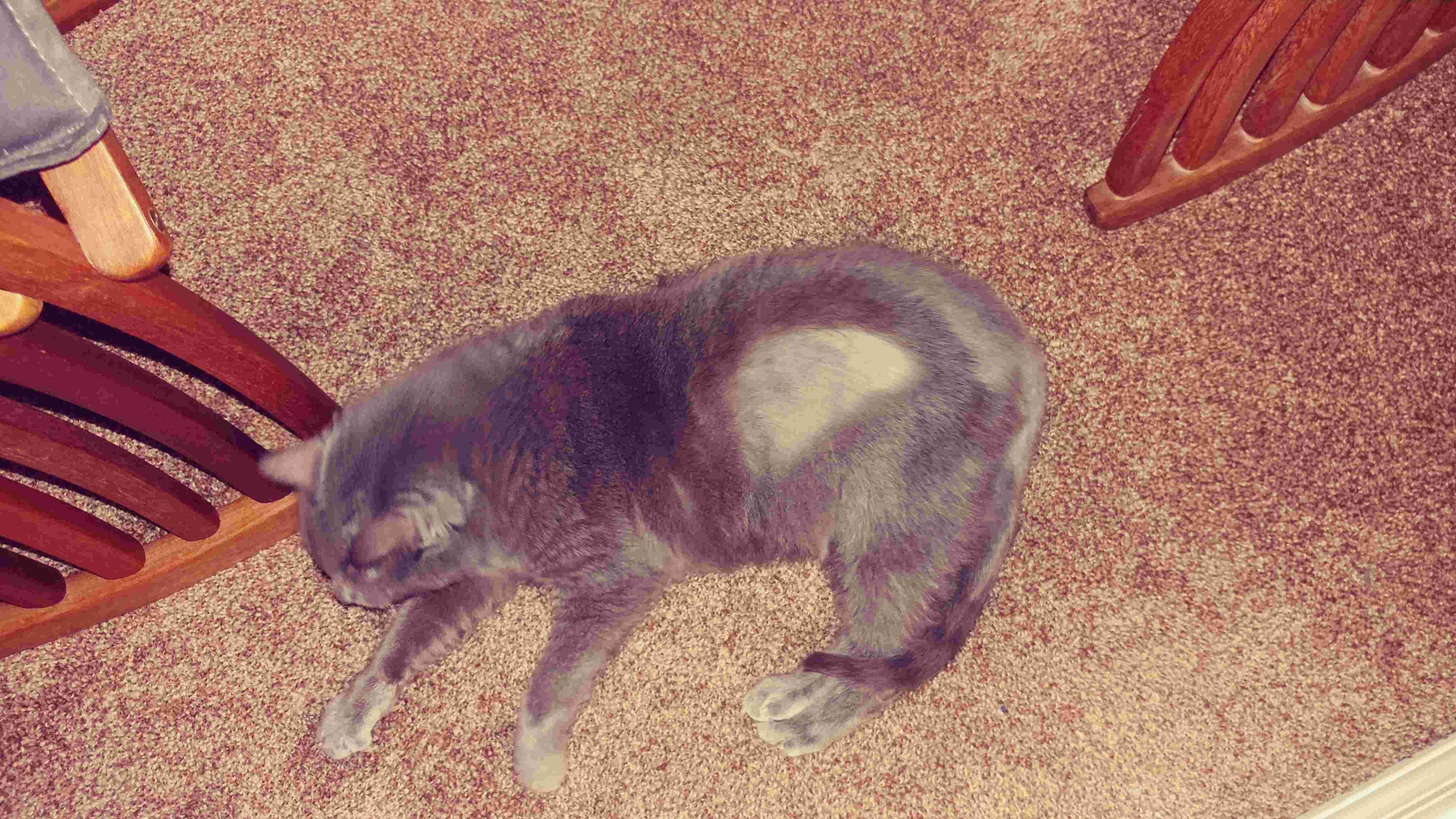 Question details sensitive content