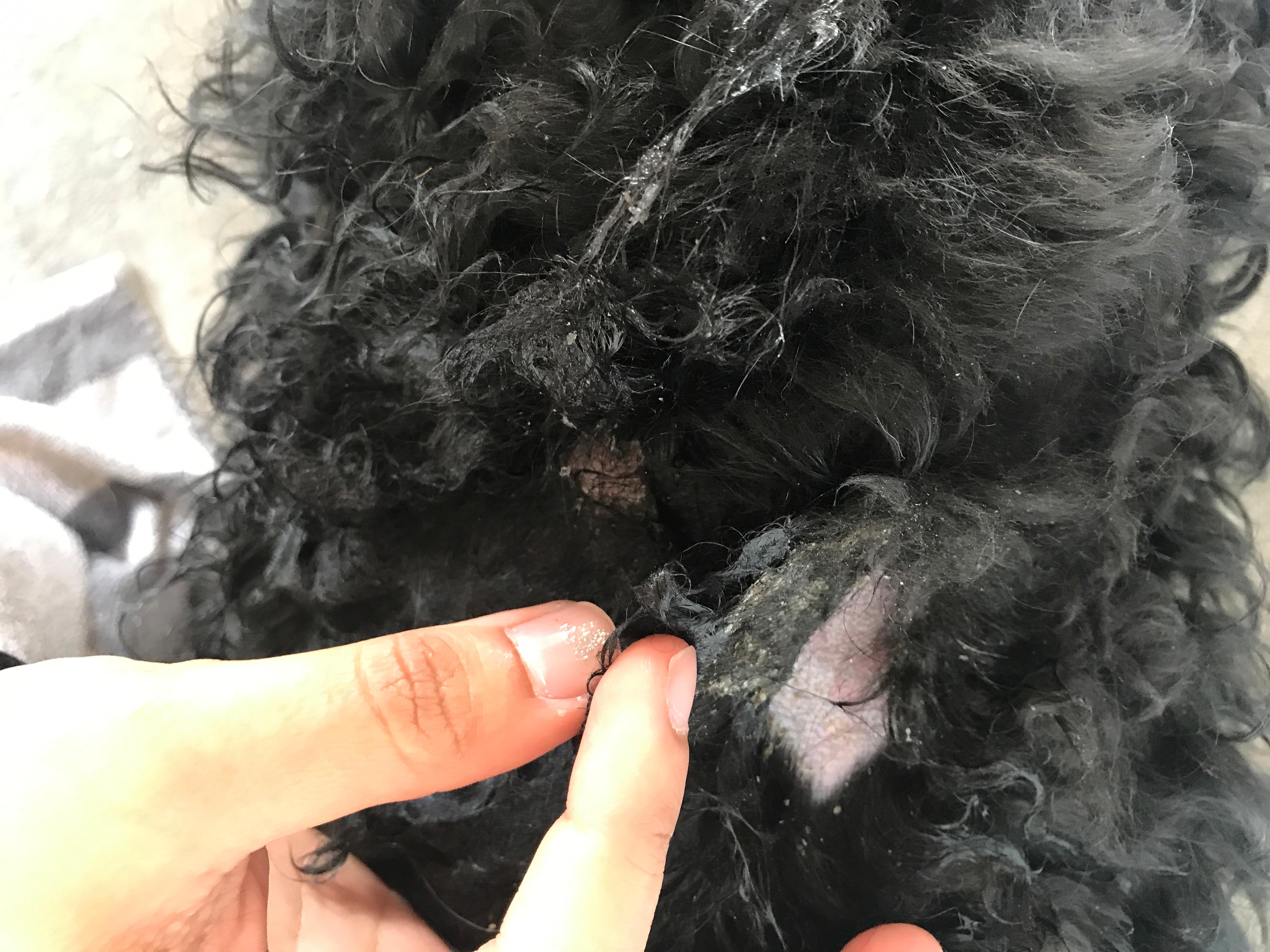 Question details sensitive content