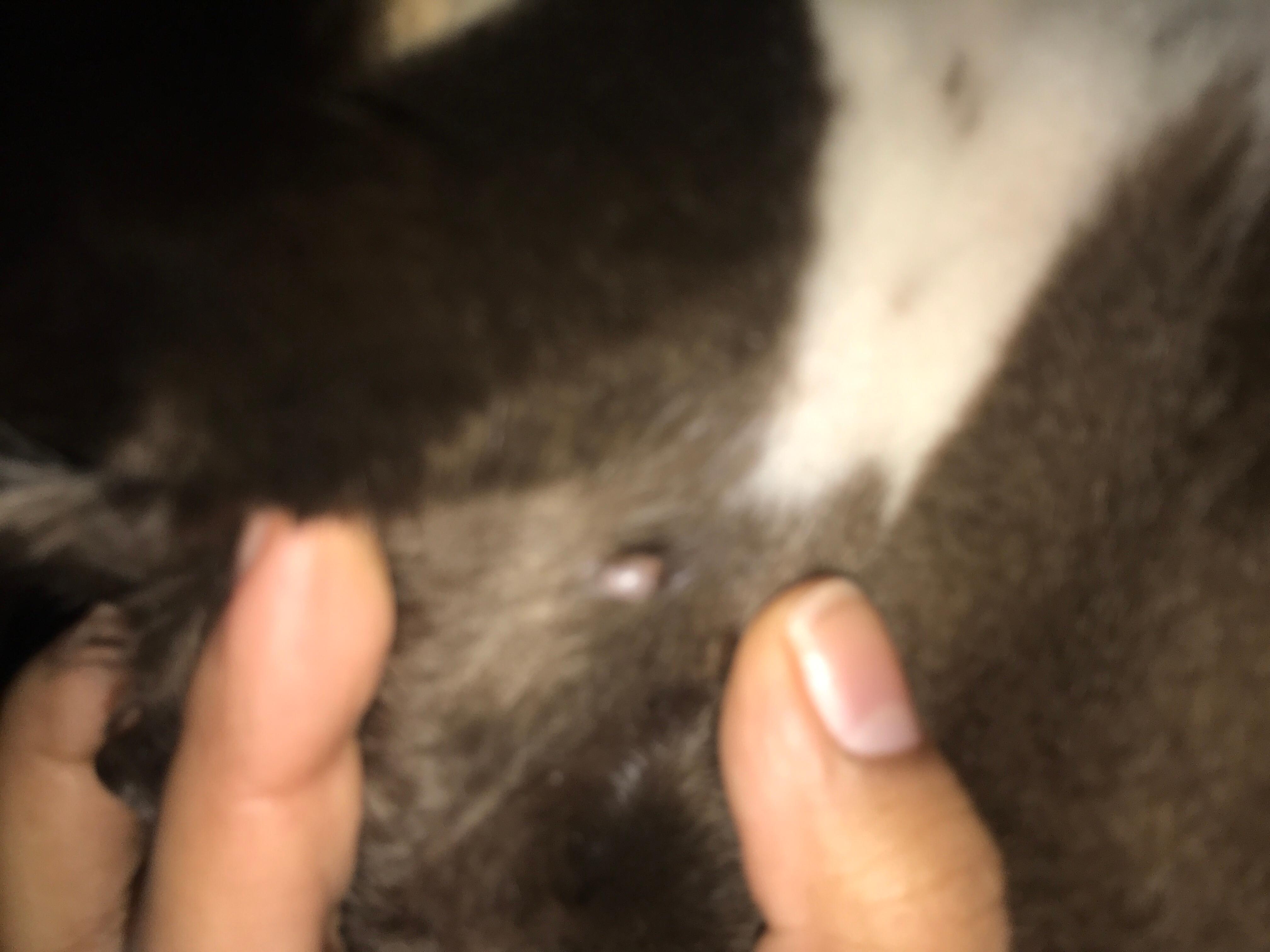 Question details sensitive content