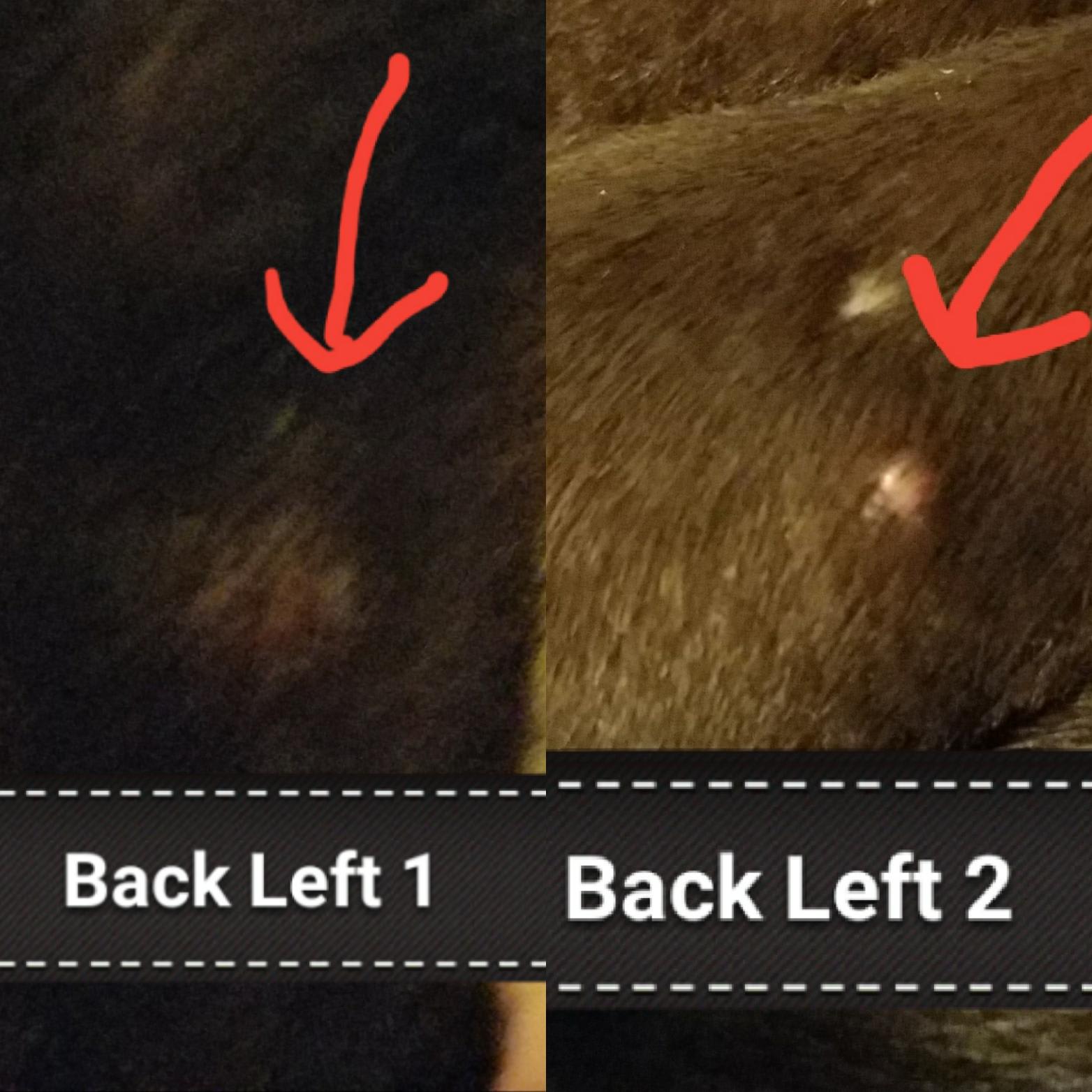 Question details sensitive content