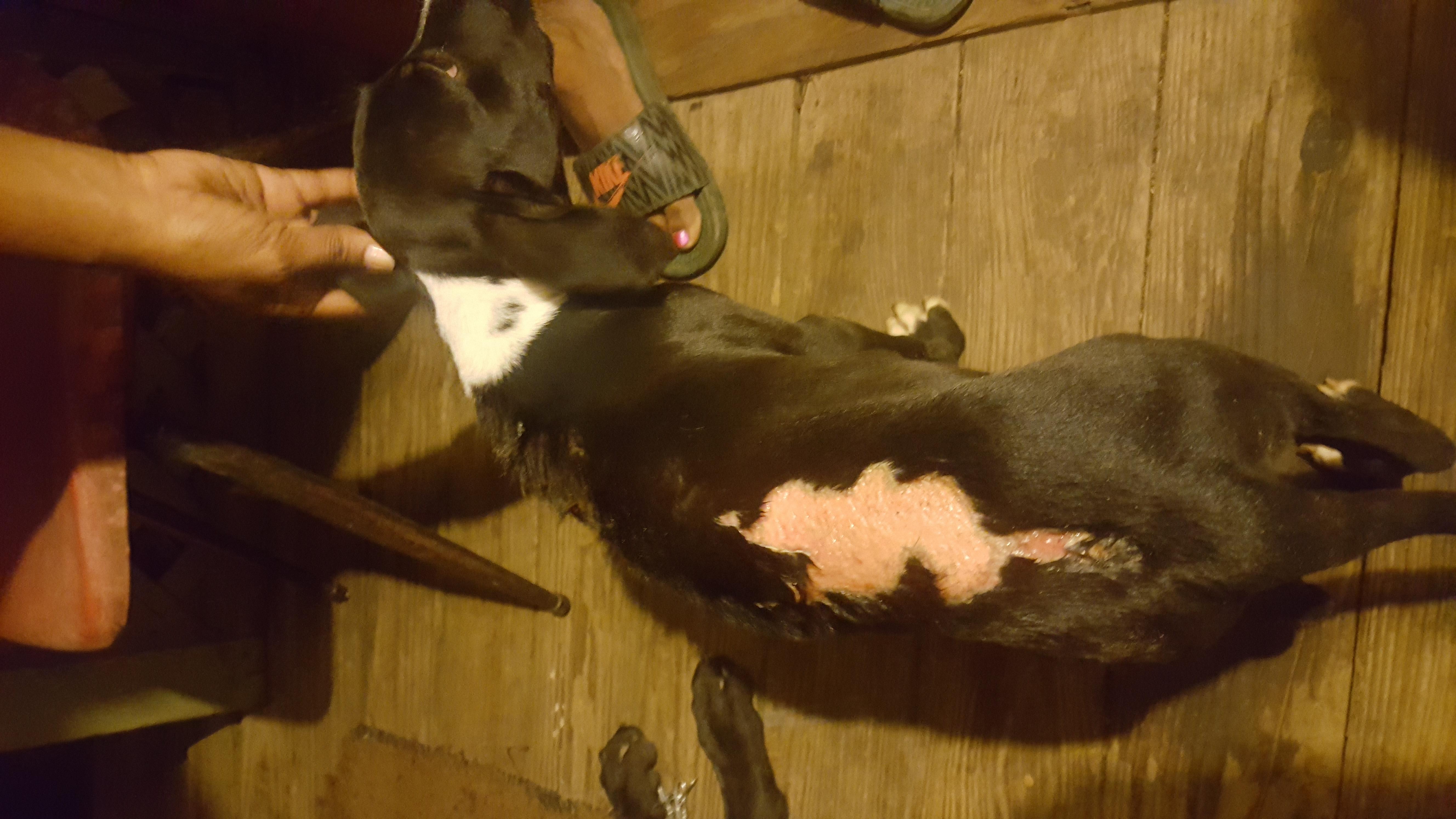 Question details sensitive content