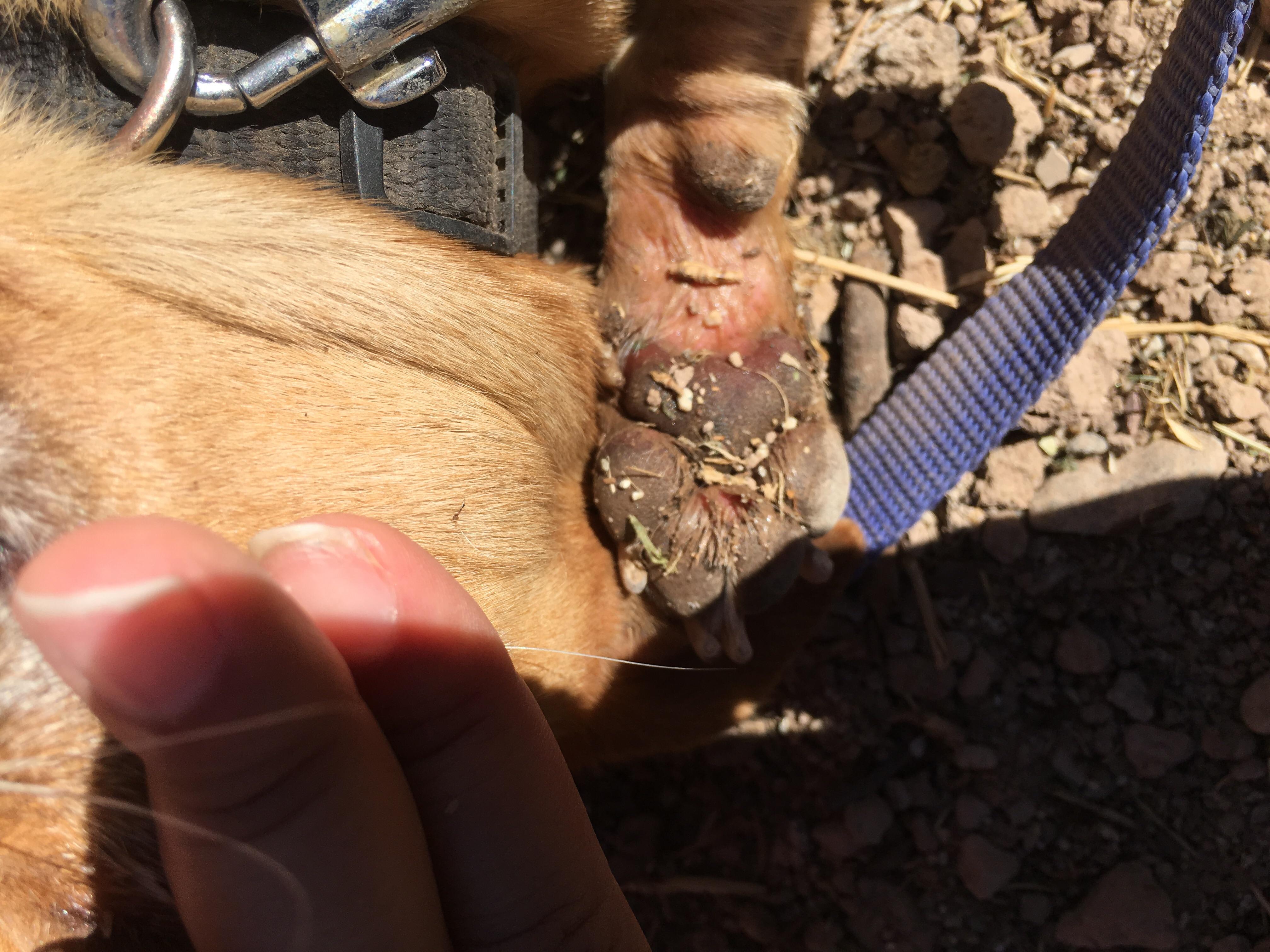 Question details sensitive content