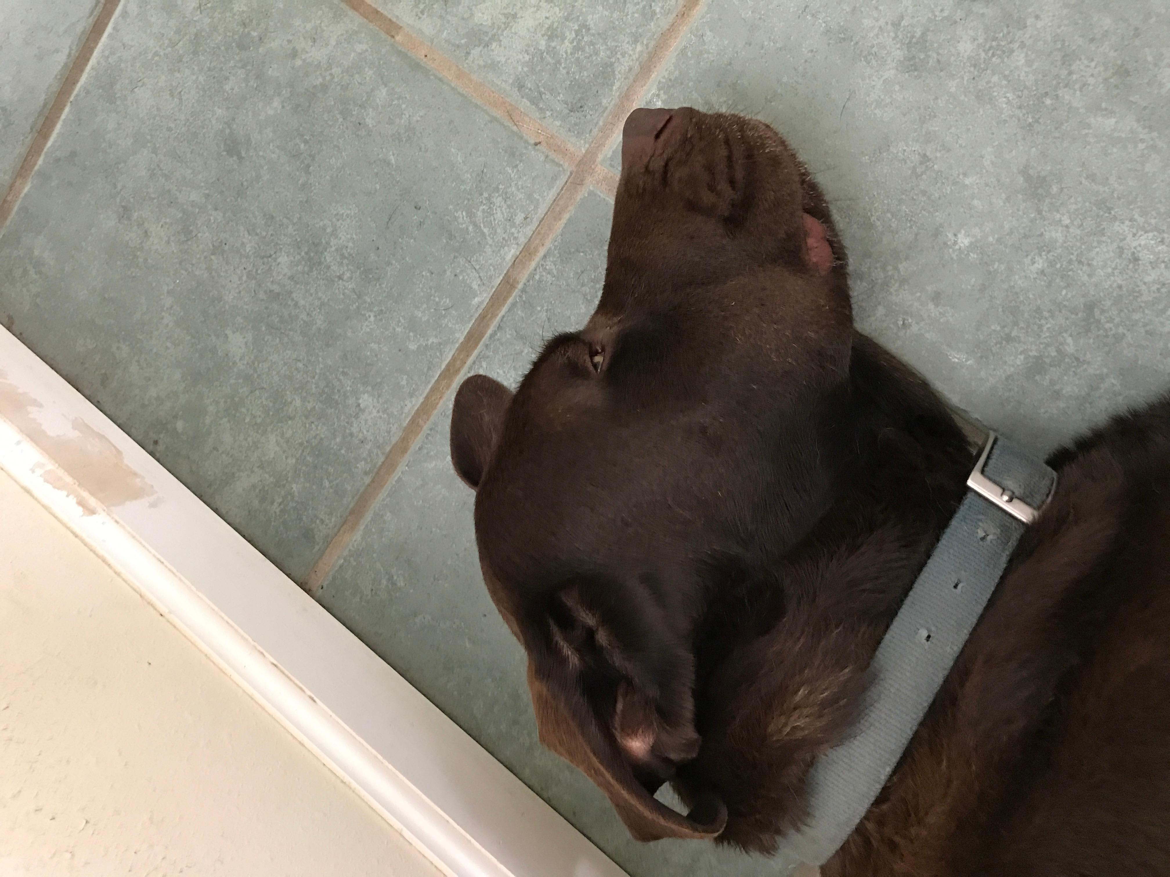 Question details sensitive content