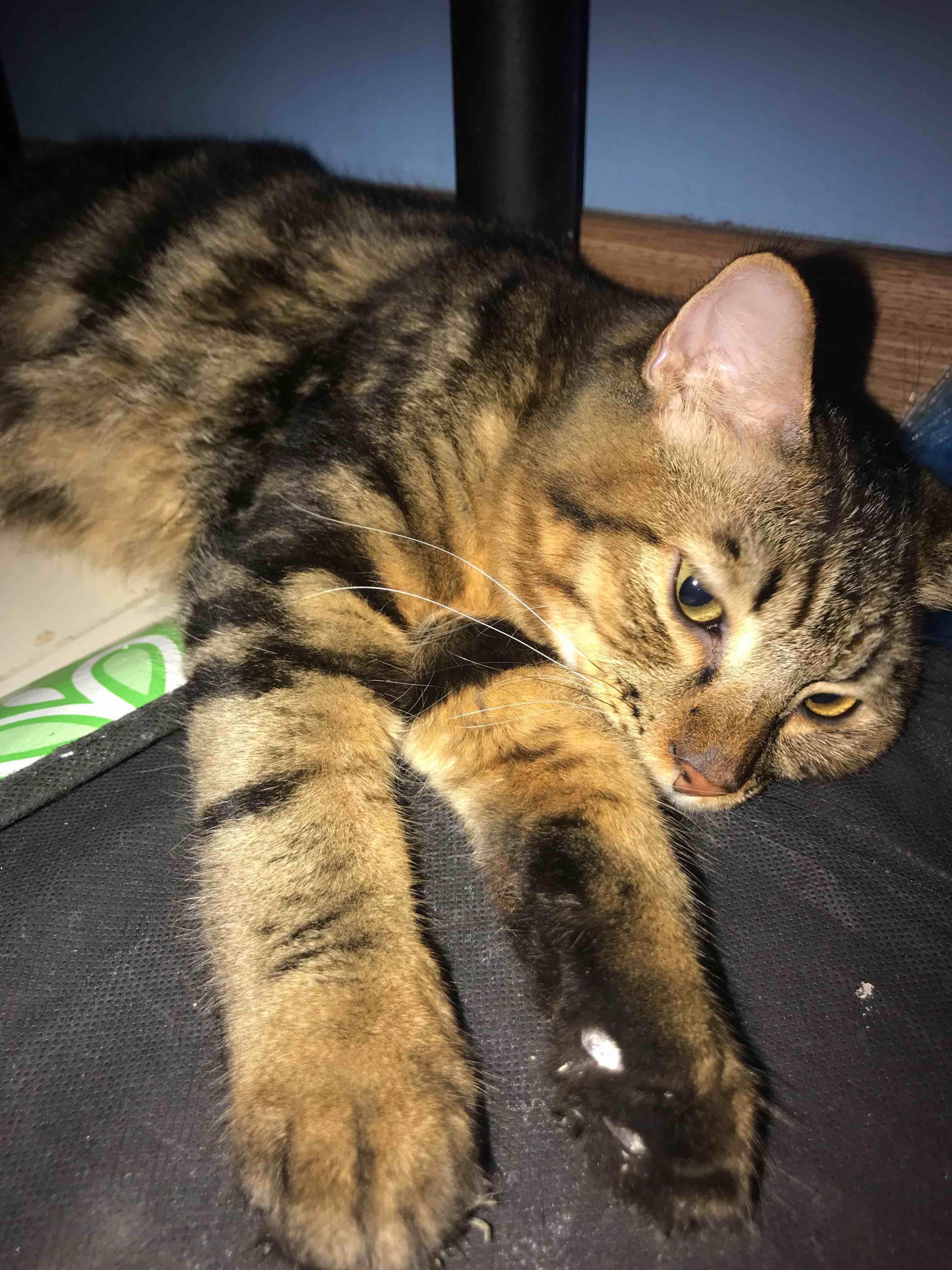 Question details sensitive content