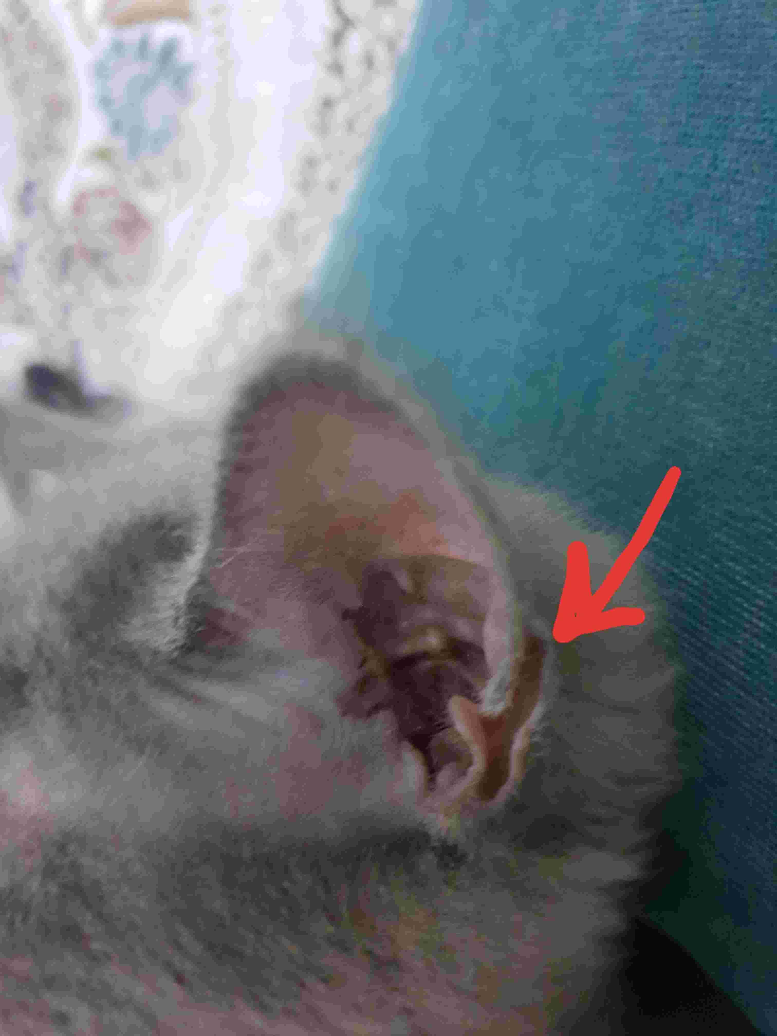 Question details sensitive content