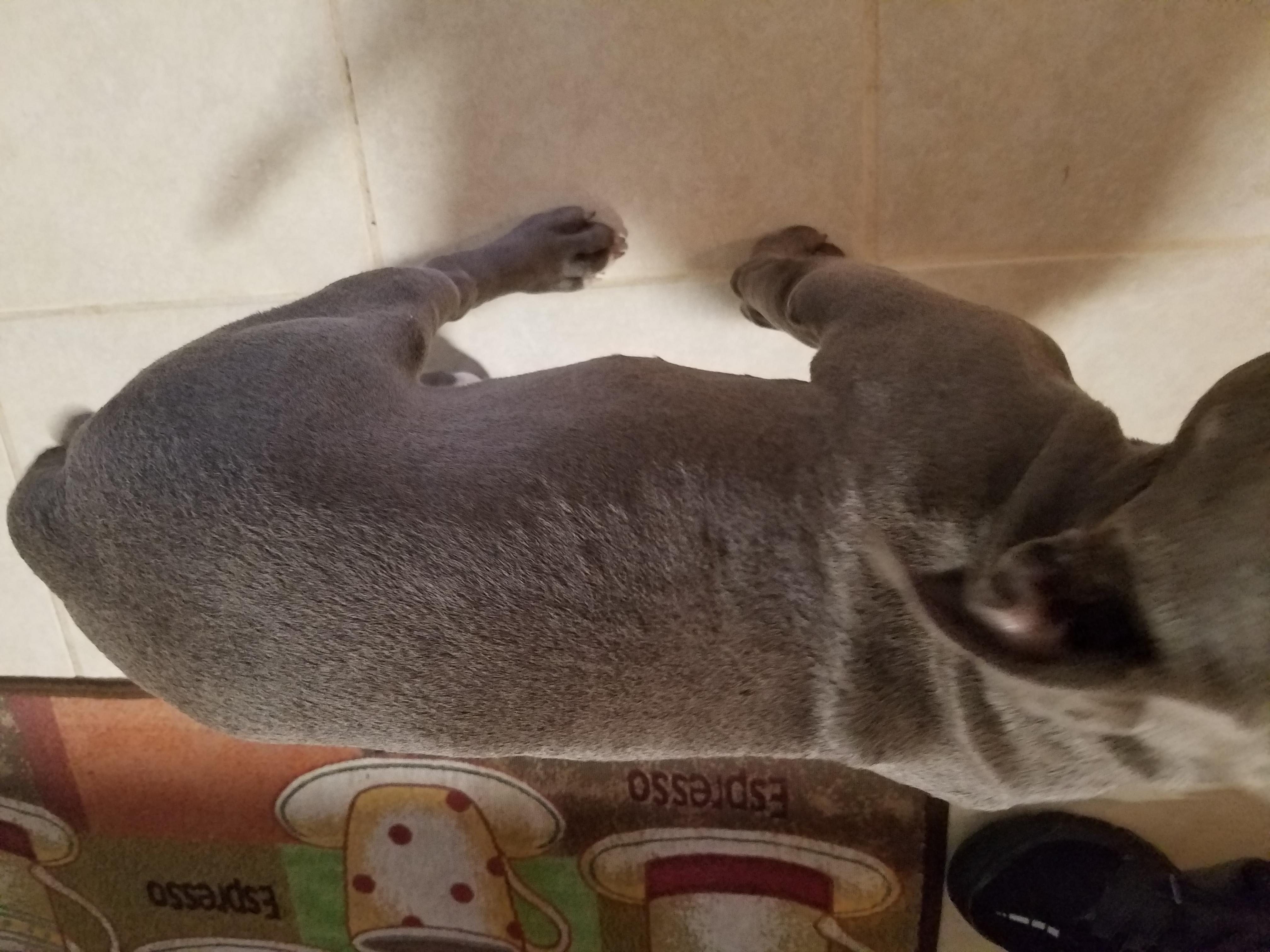 Question details sensitive content