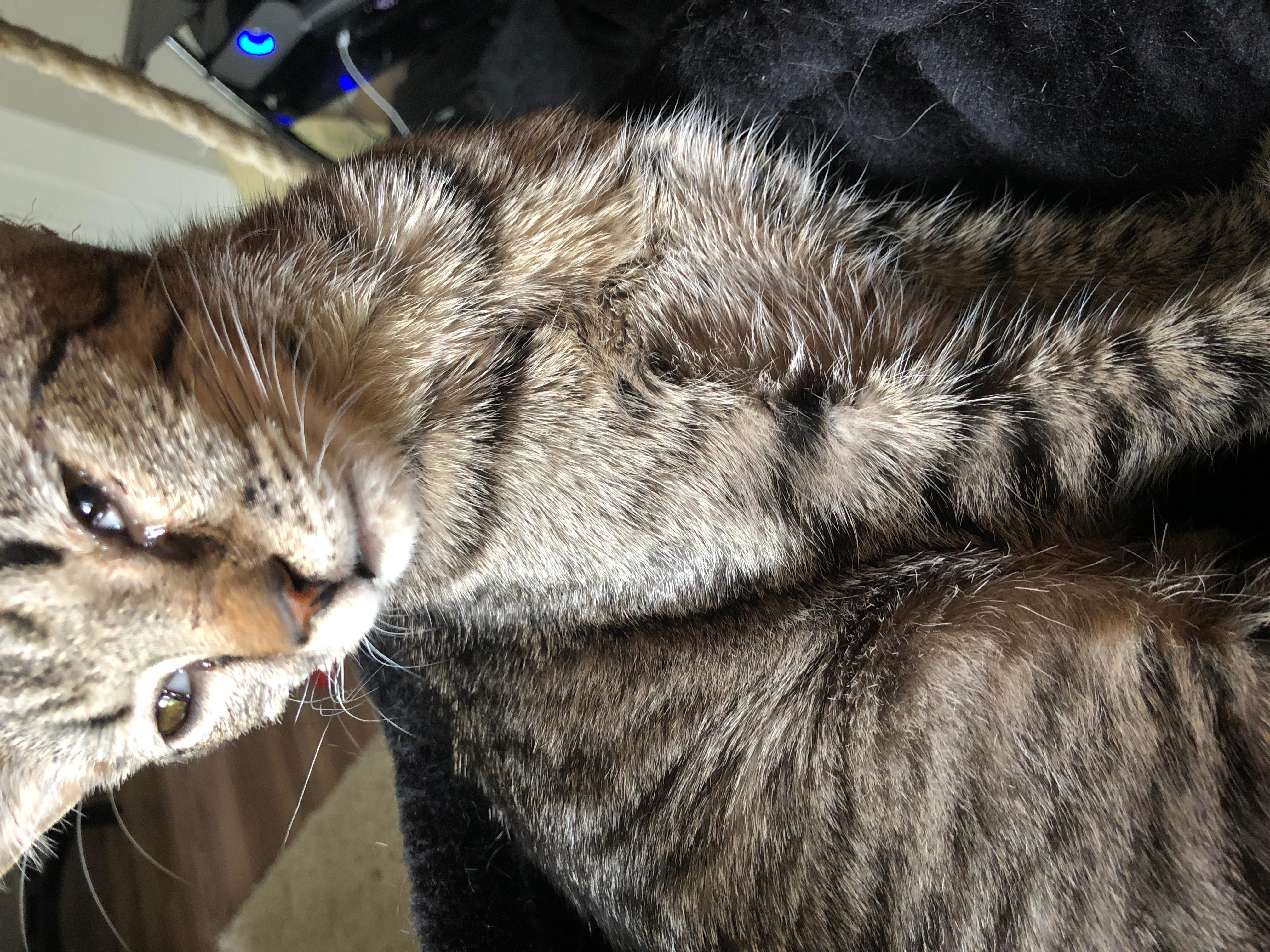 Question details sensitive content