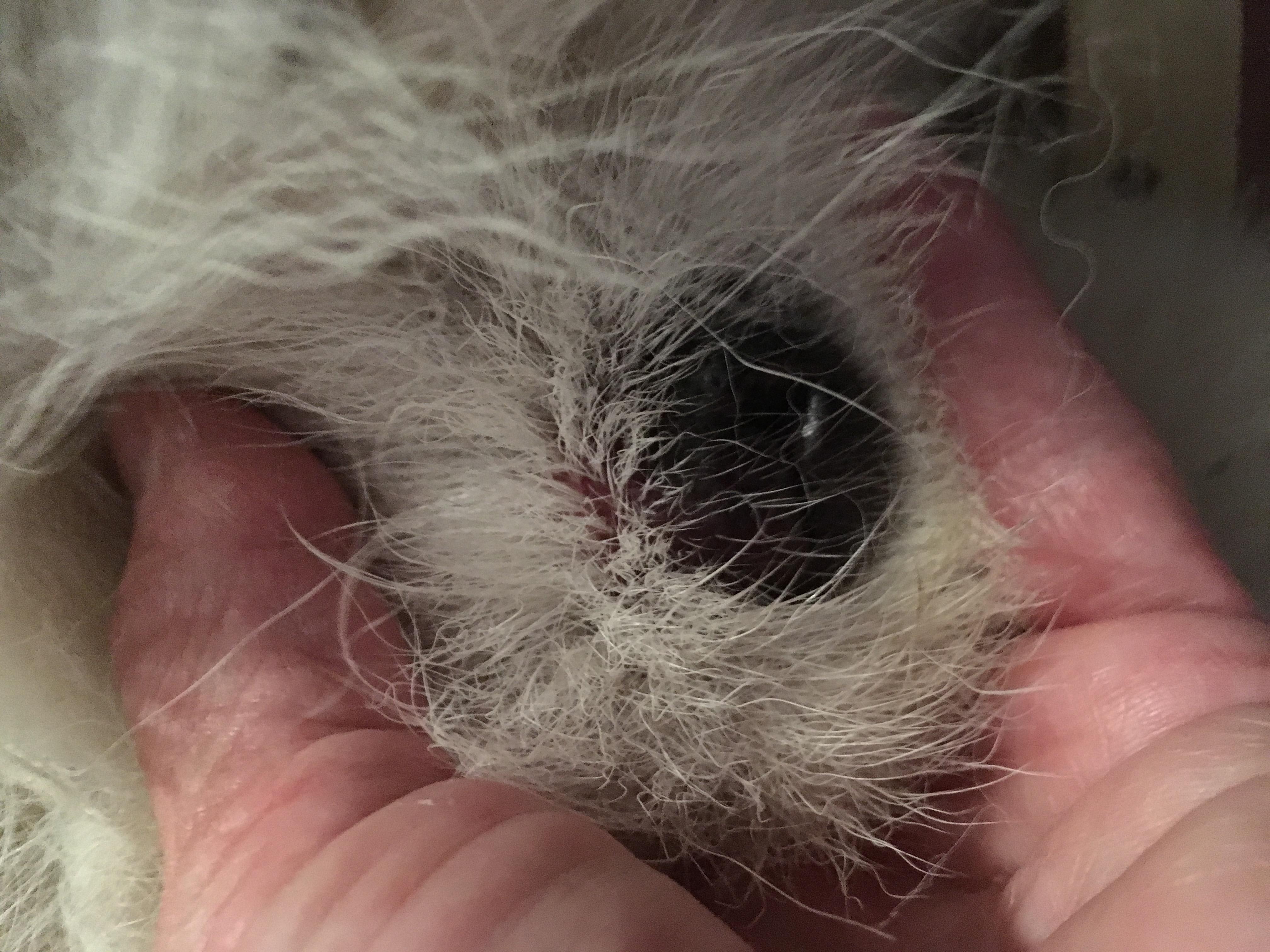 Question details sensitive content