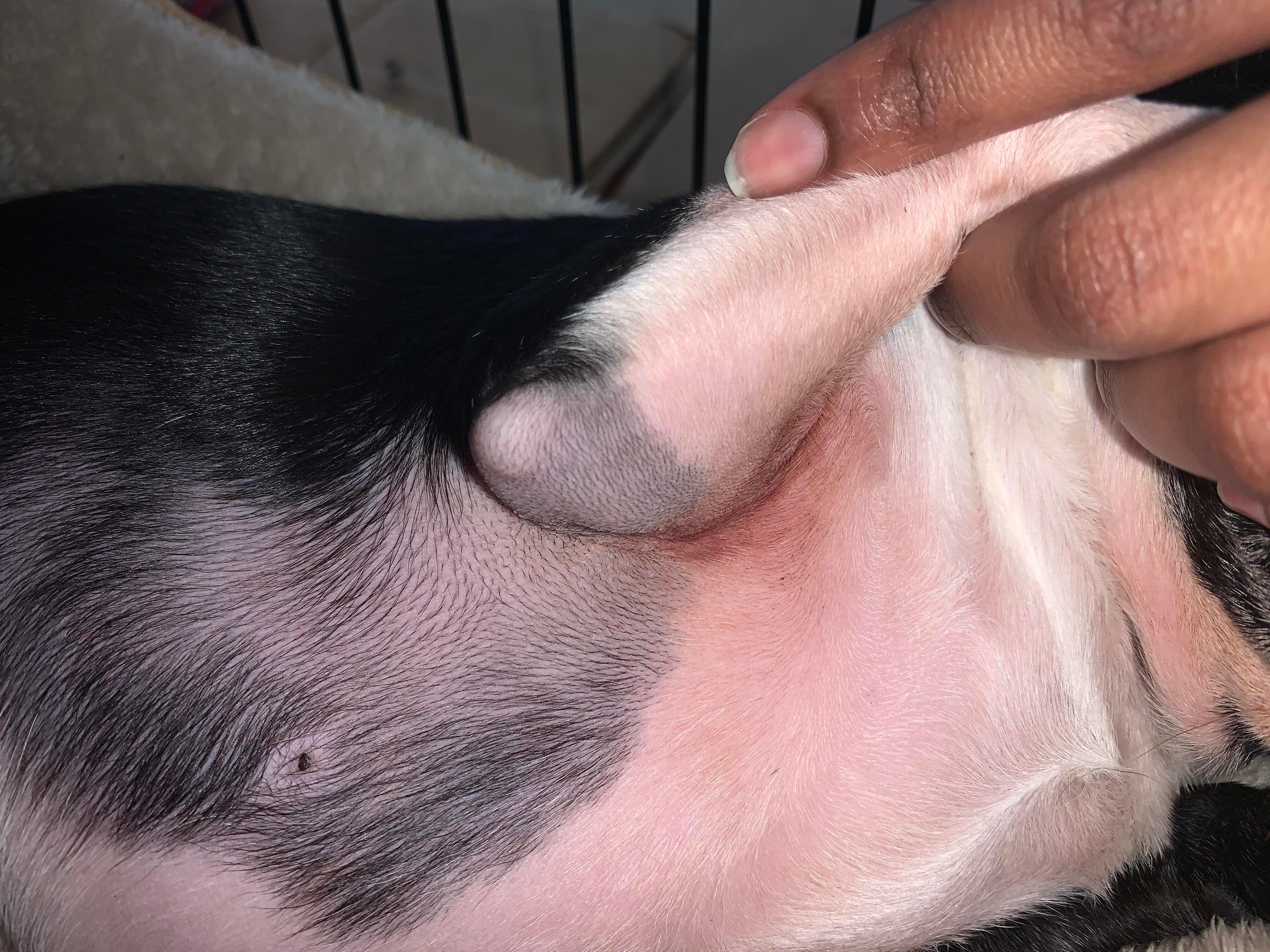 Question details sensitive content