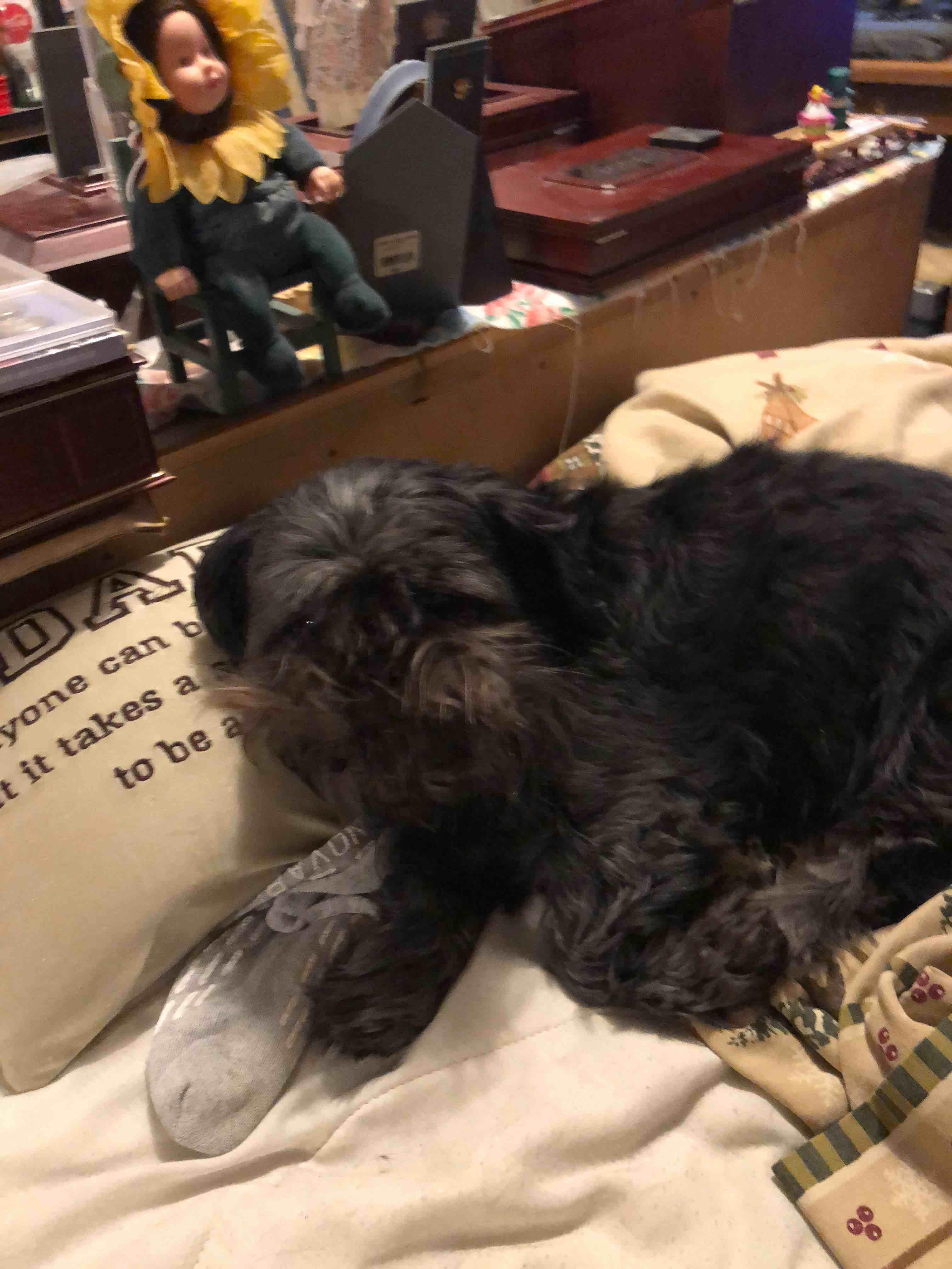 Question details sensitive content