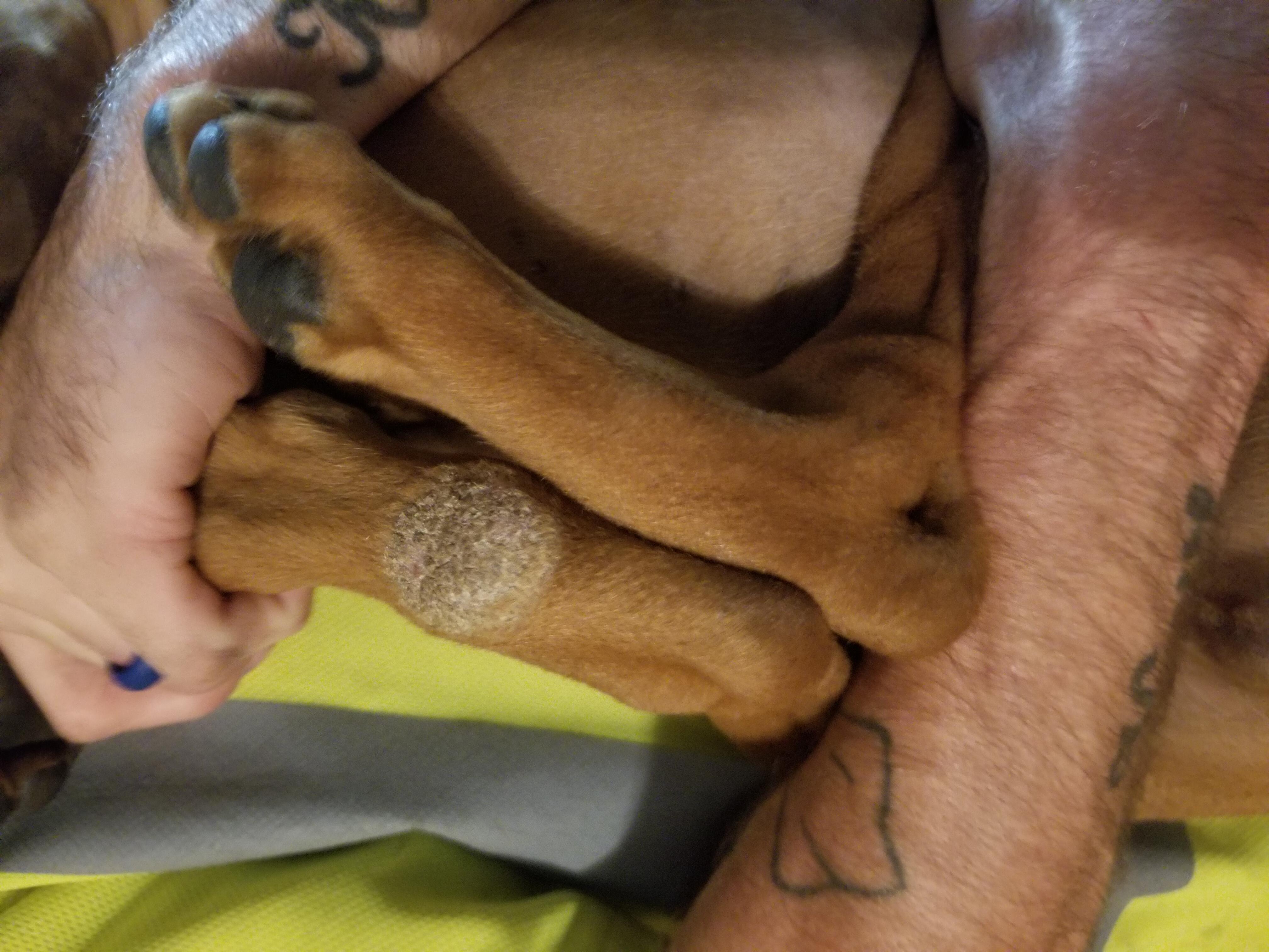 Question details sensitive content