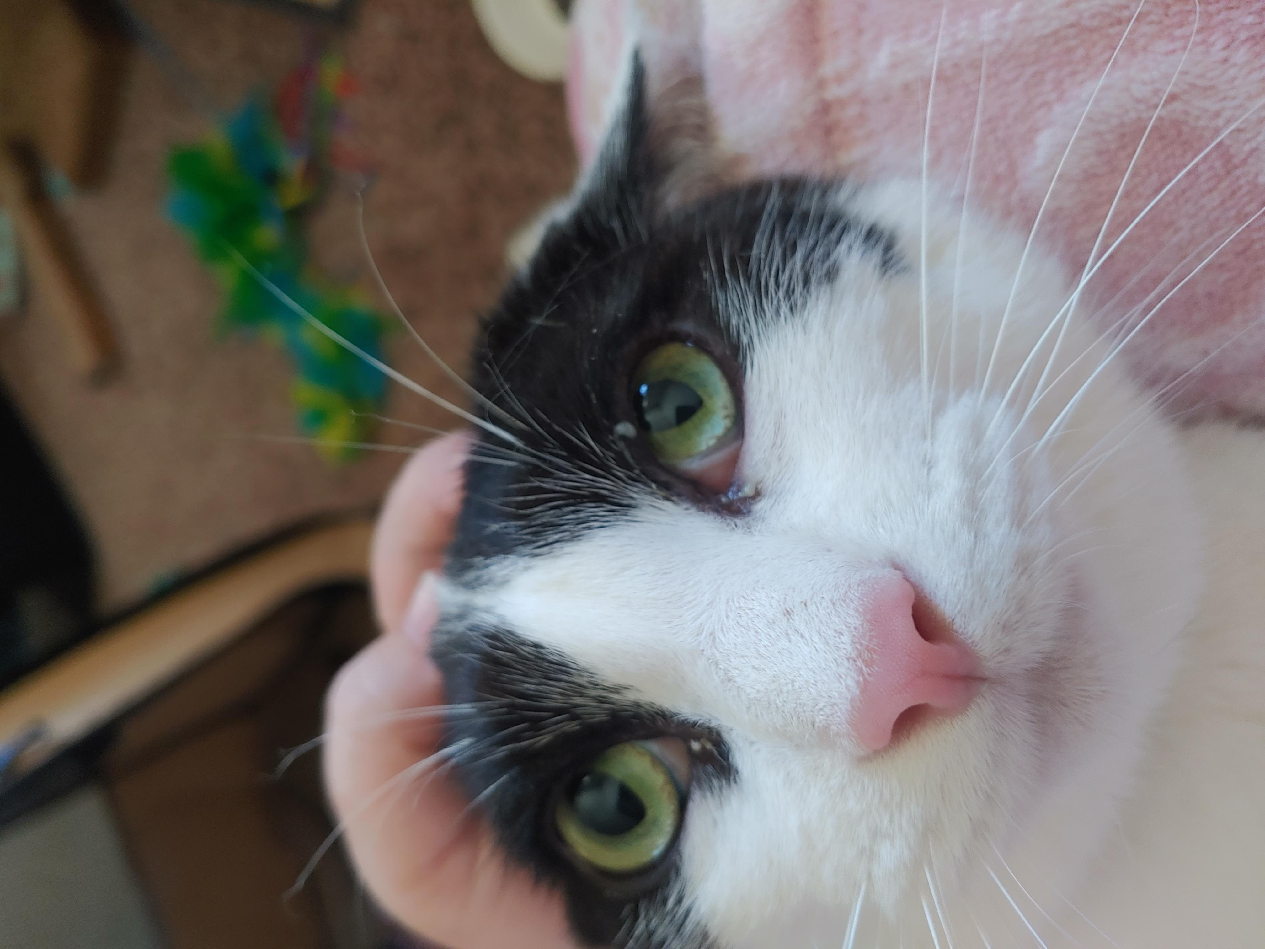 Question details sensitive content