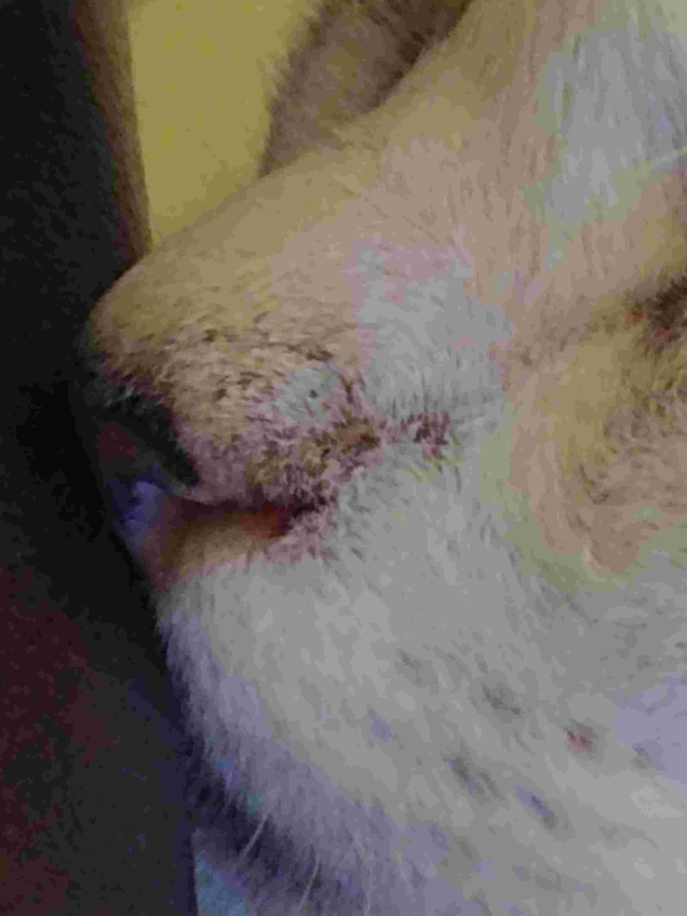 Question details sensitive content