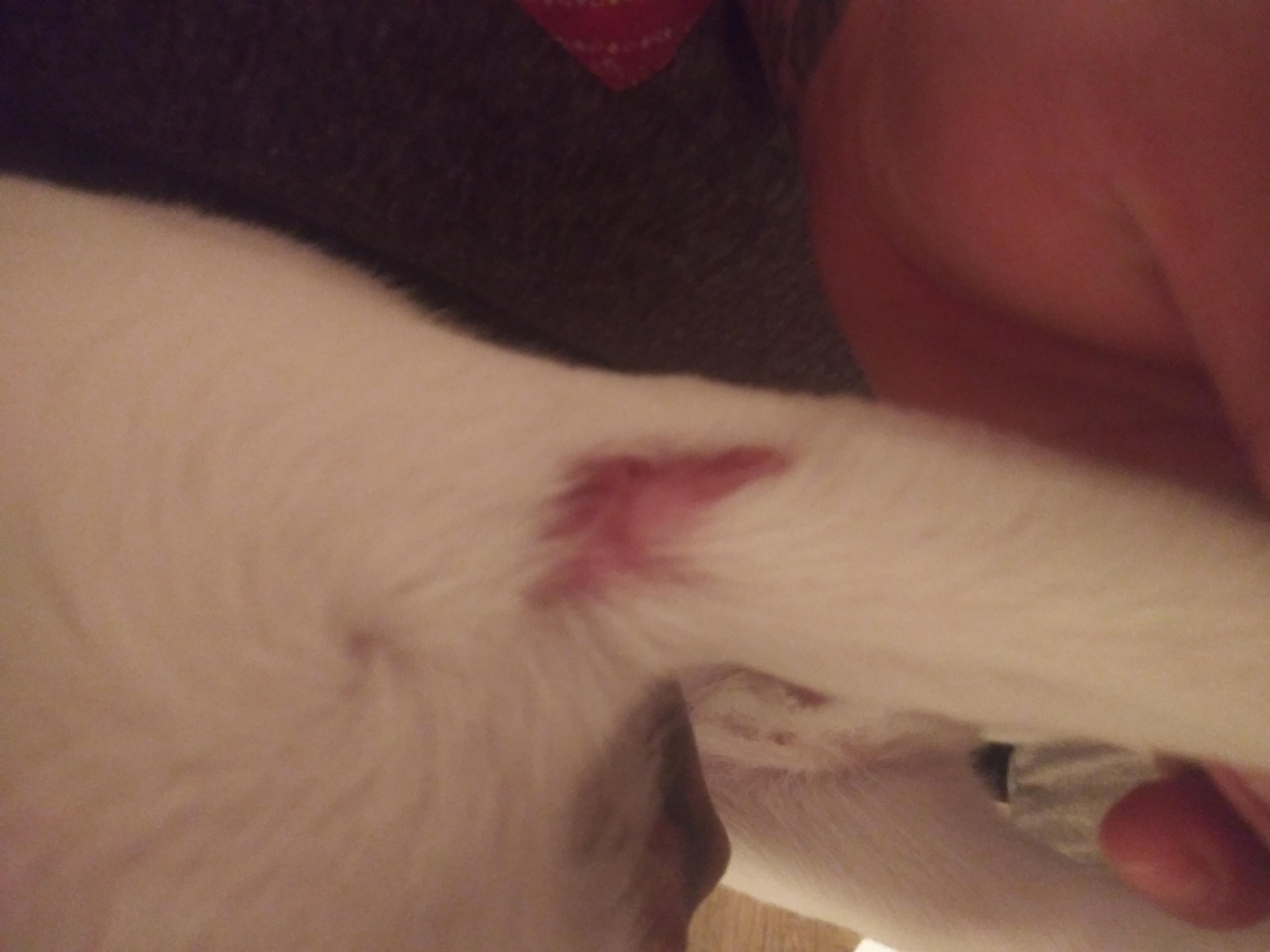 Question details sensitive content