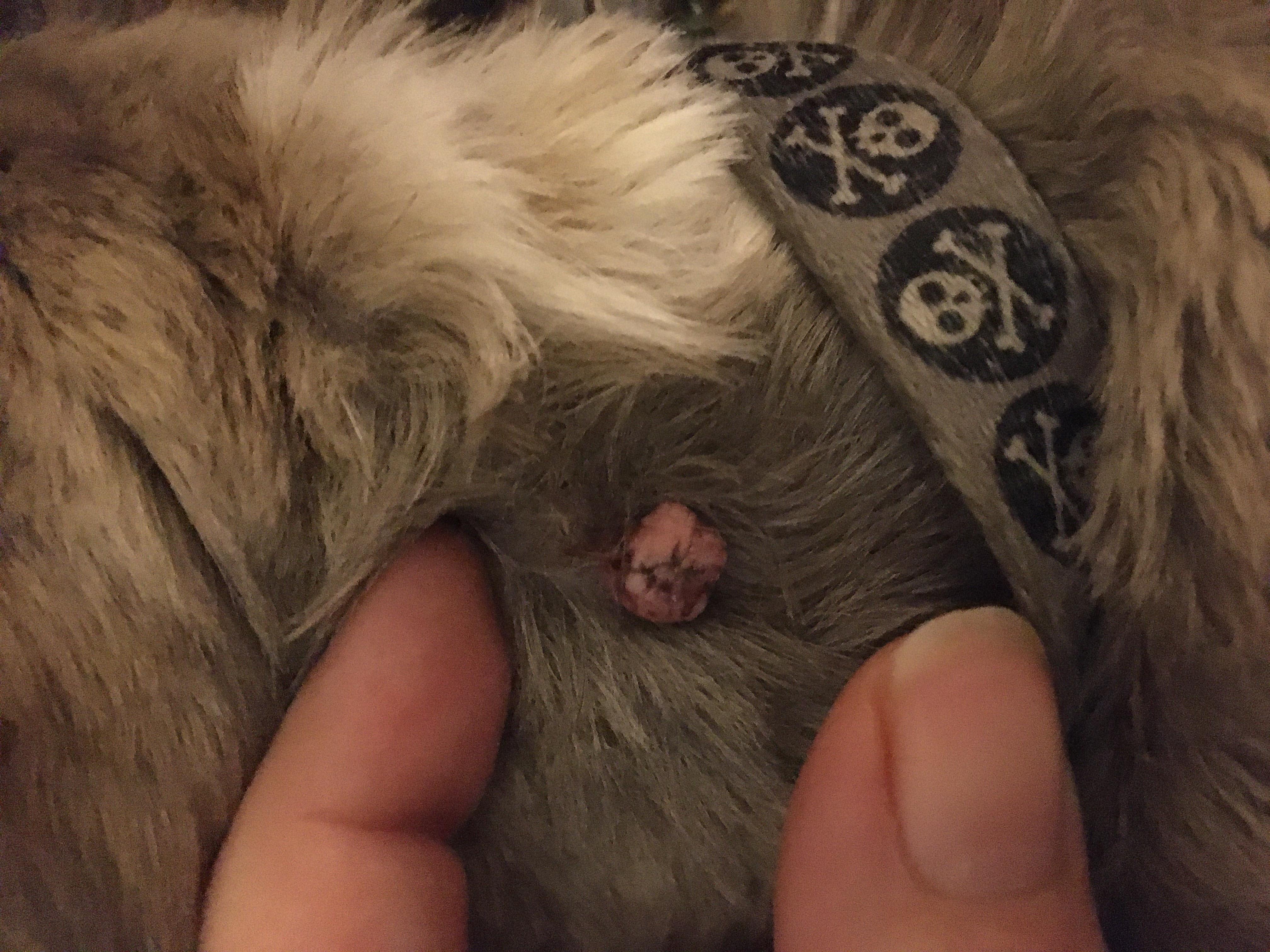 Question details sensitive content