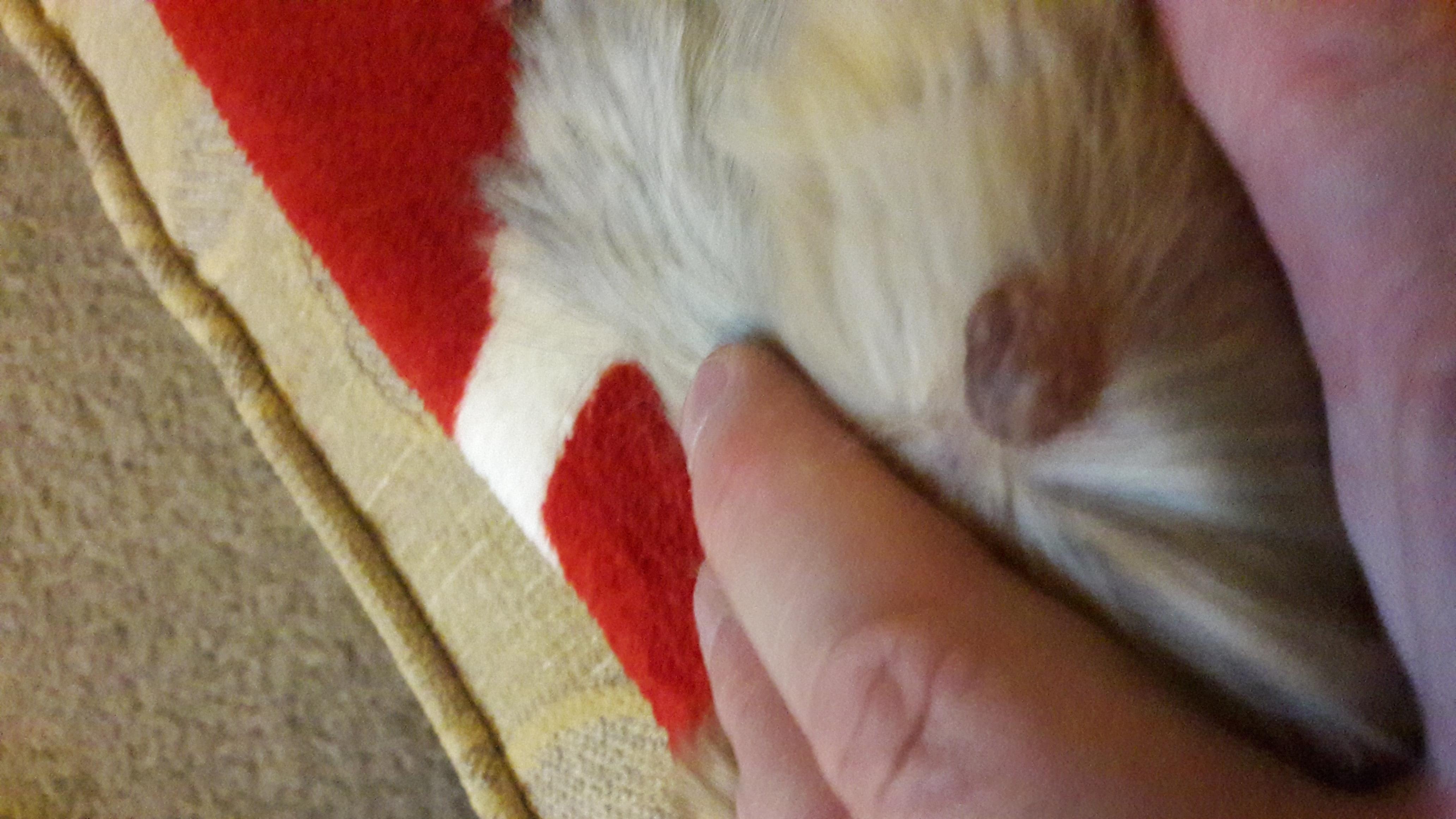 Question details sensitive content