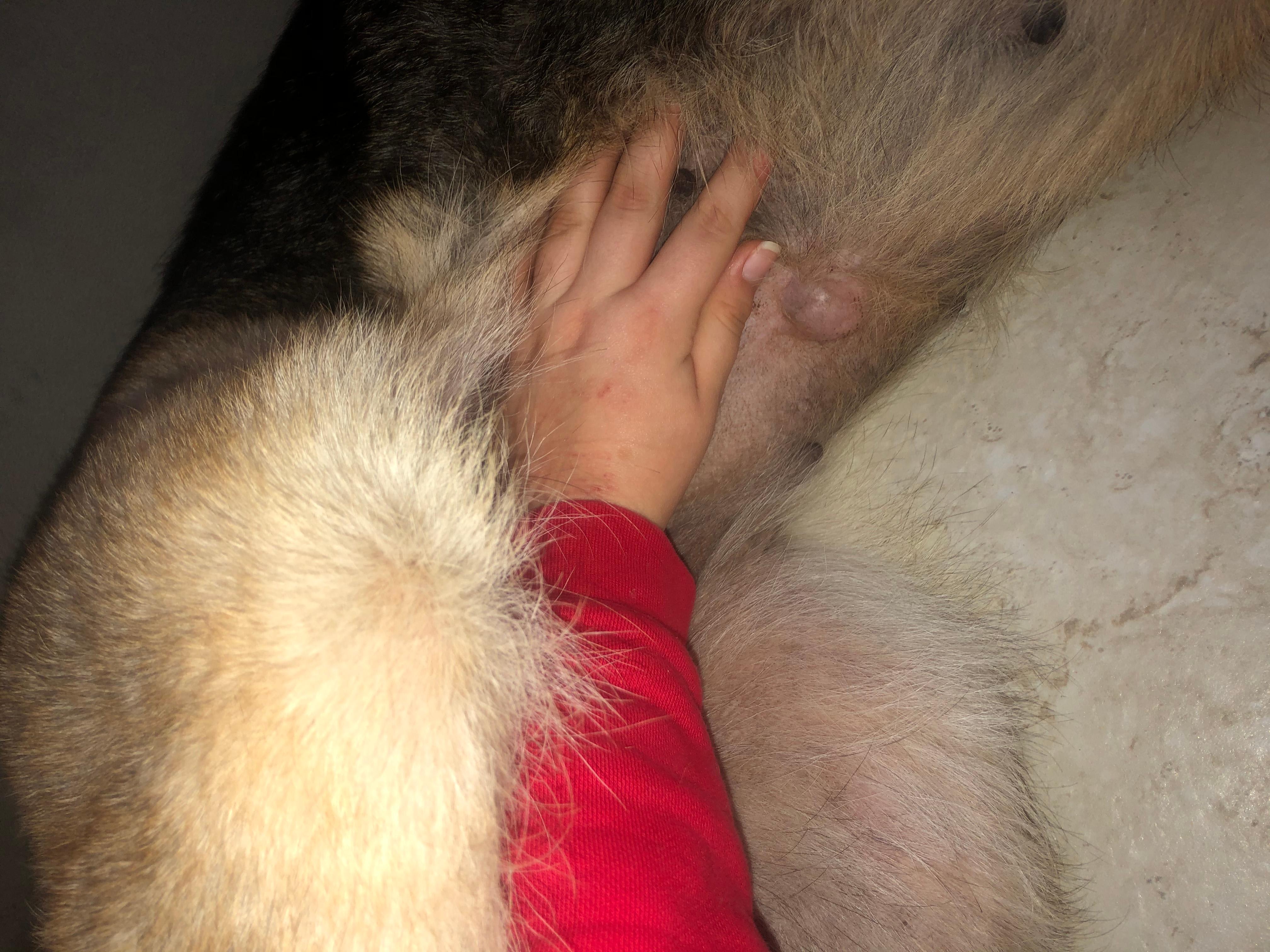 Question details sensitive content