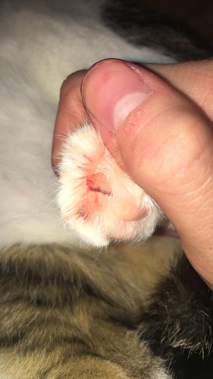 Question details sensitive content