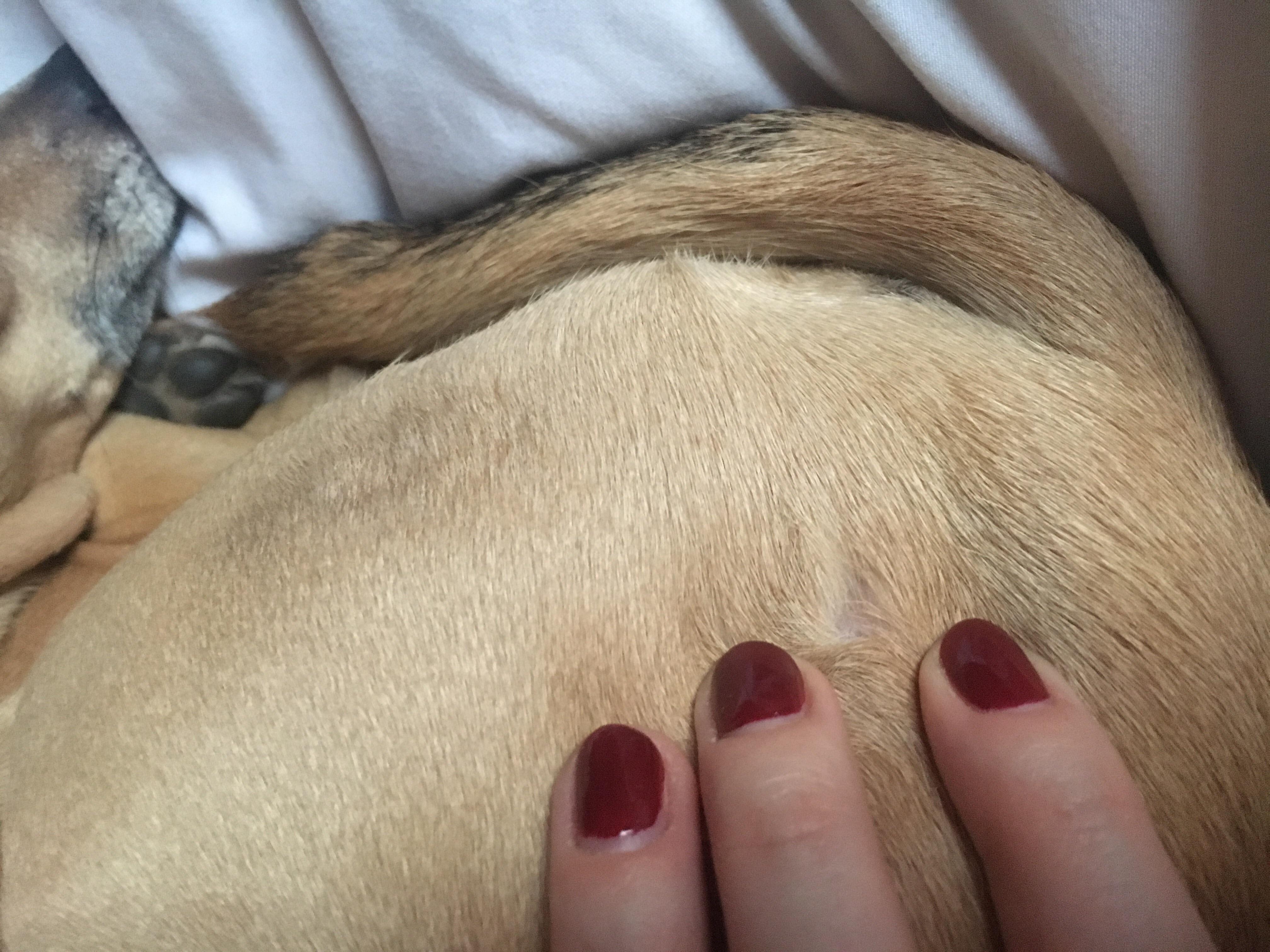 Question details sensitive content