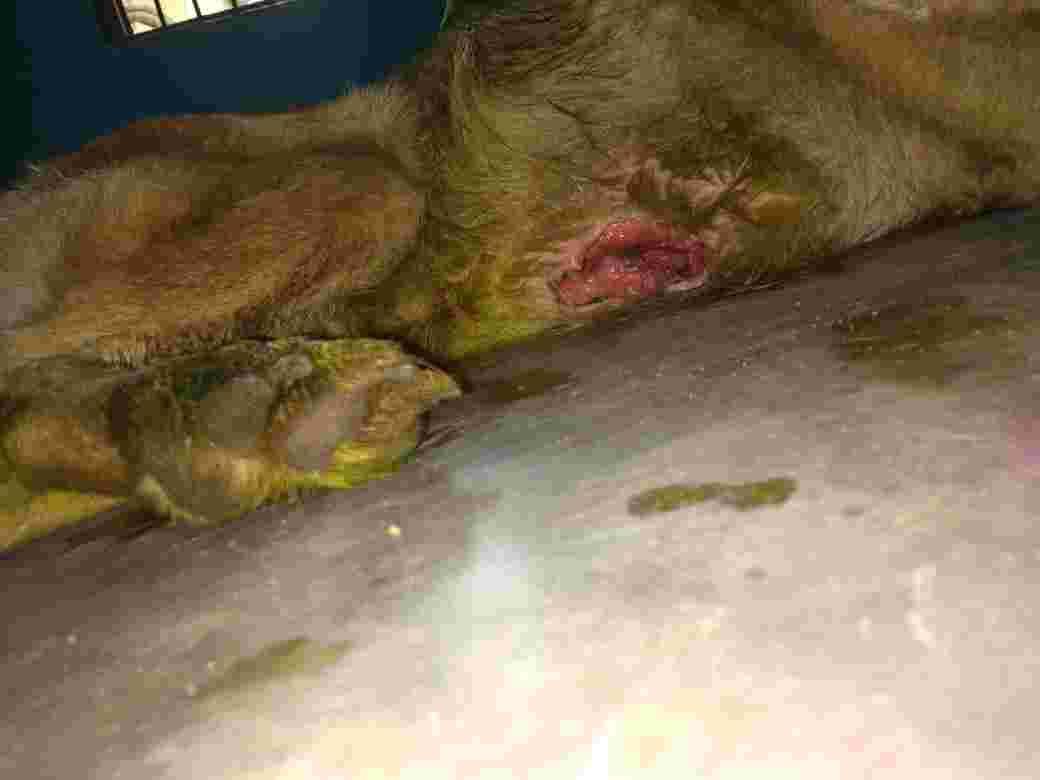 Question details sensitive content