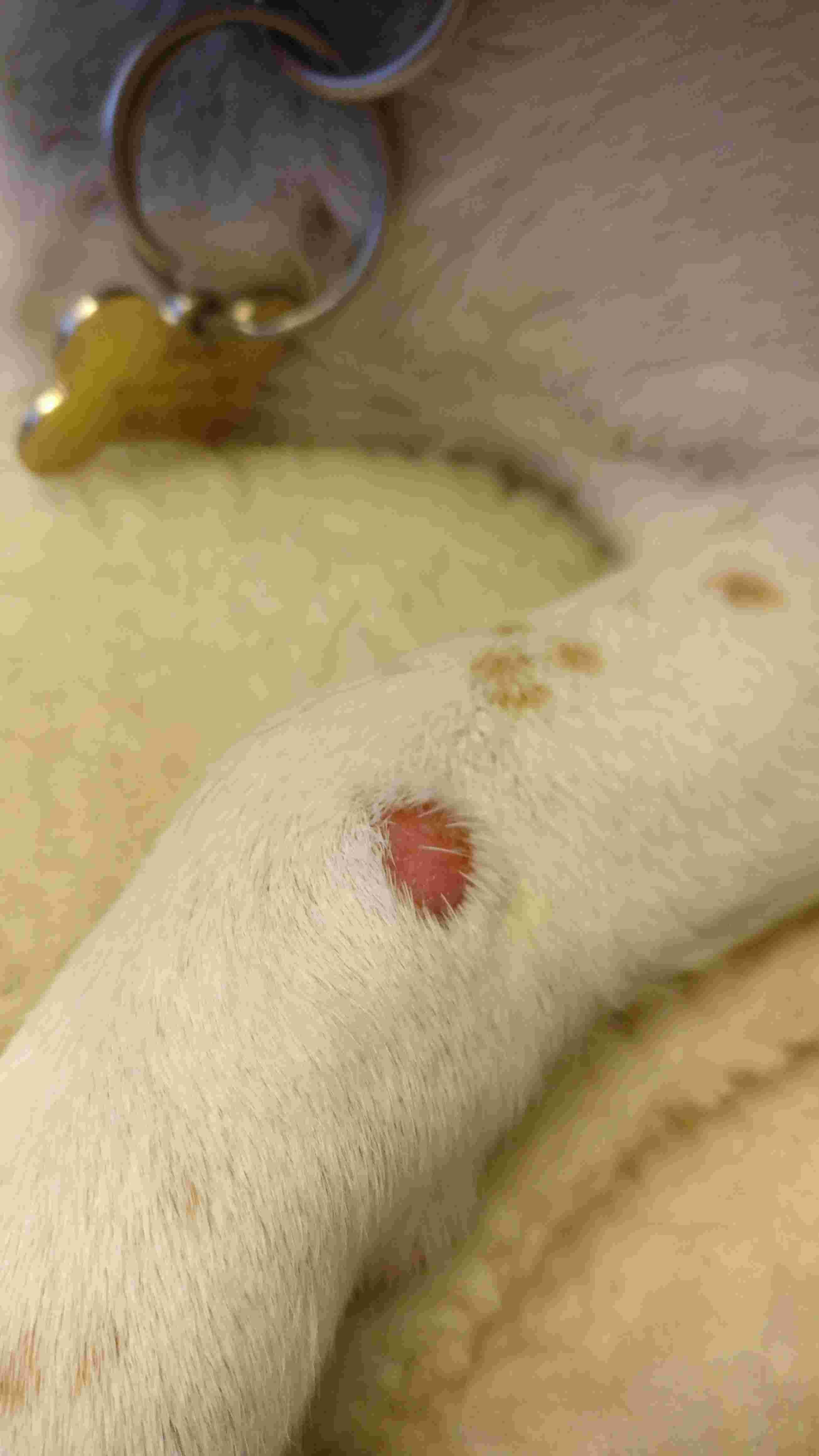 Question details sensitive content