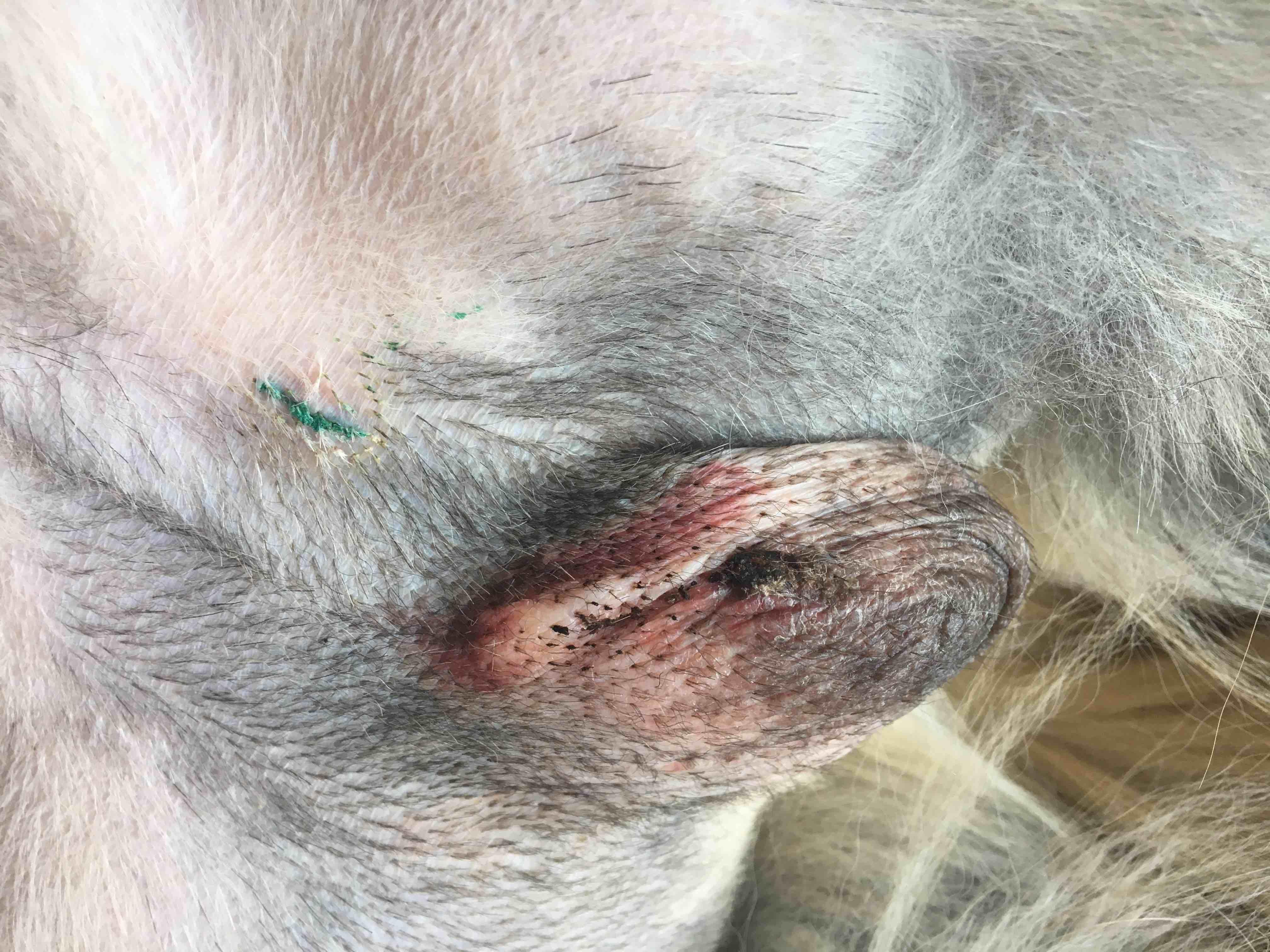 Question details sensitive content