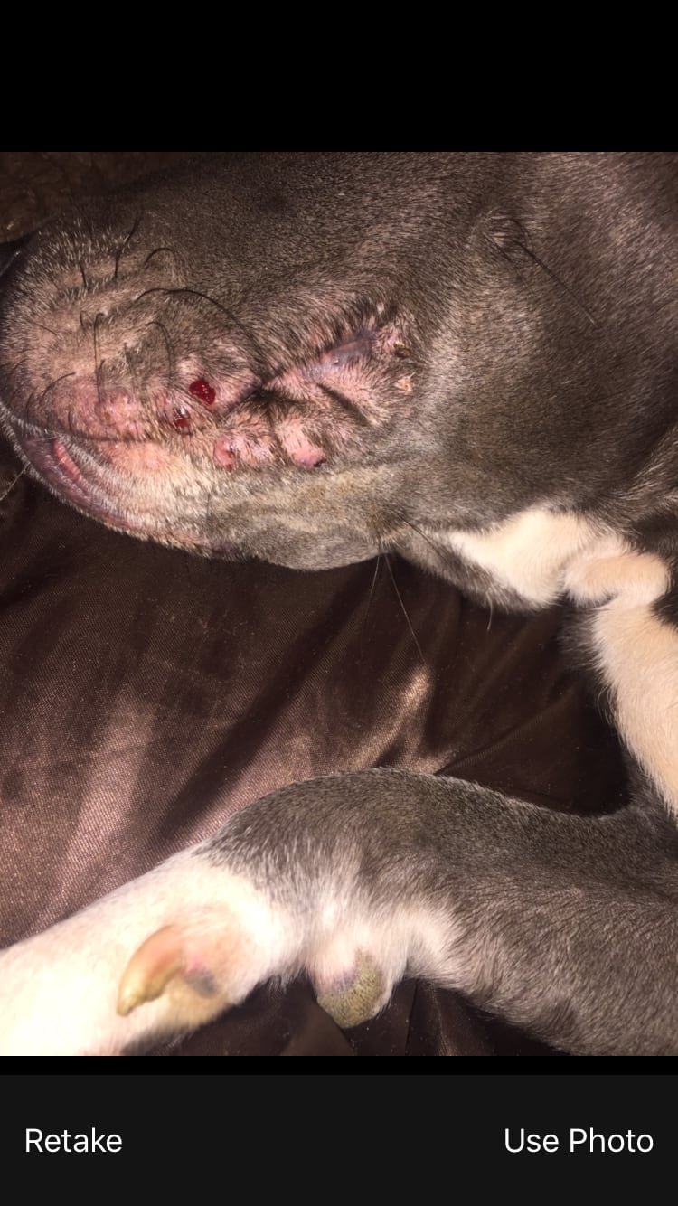 Question details sensitive content