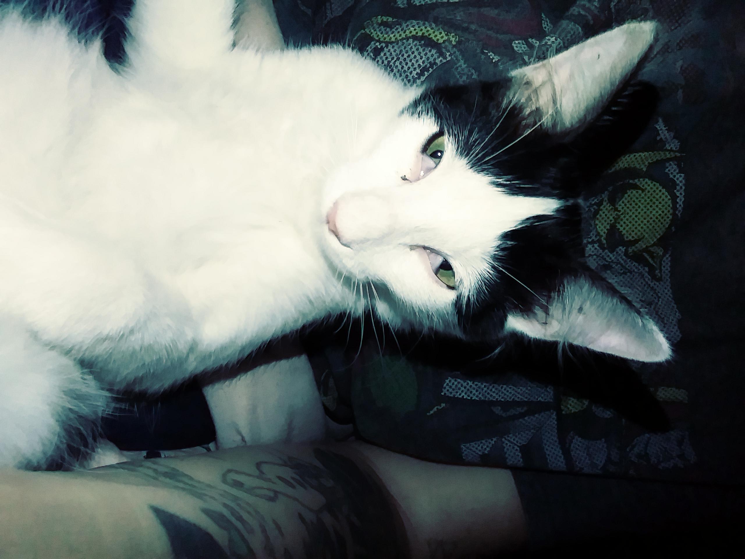 Question details sensitive content