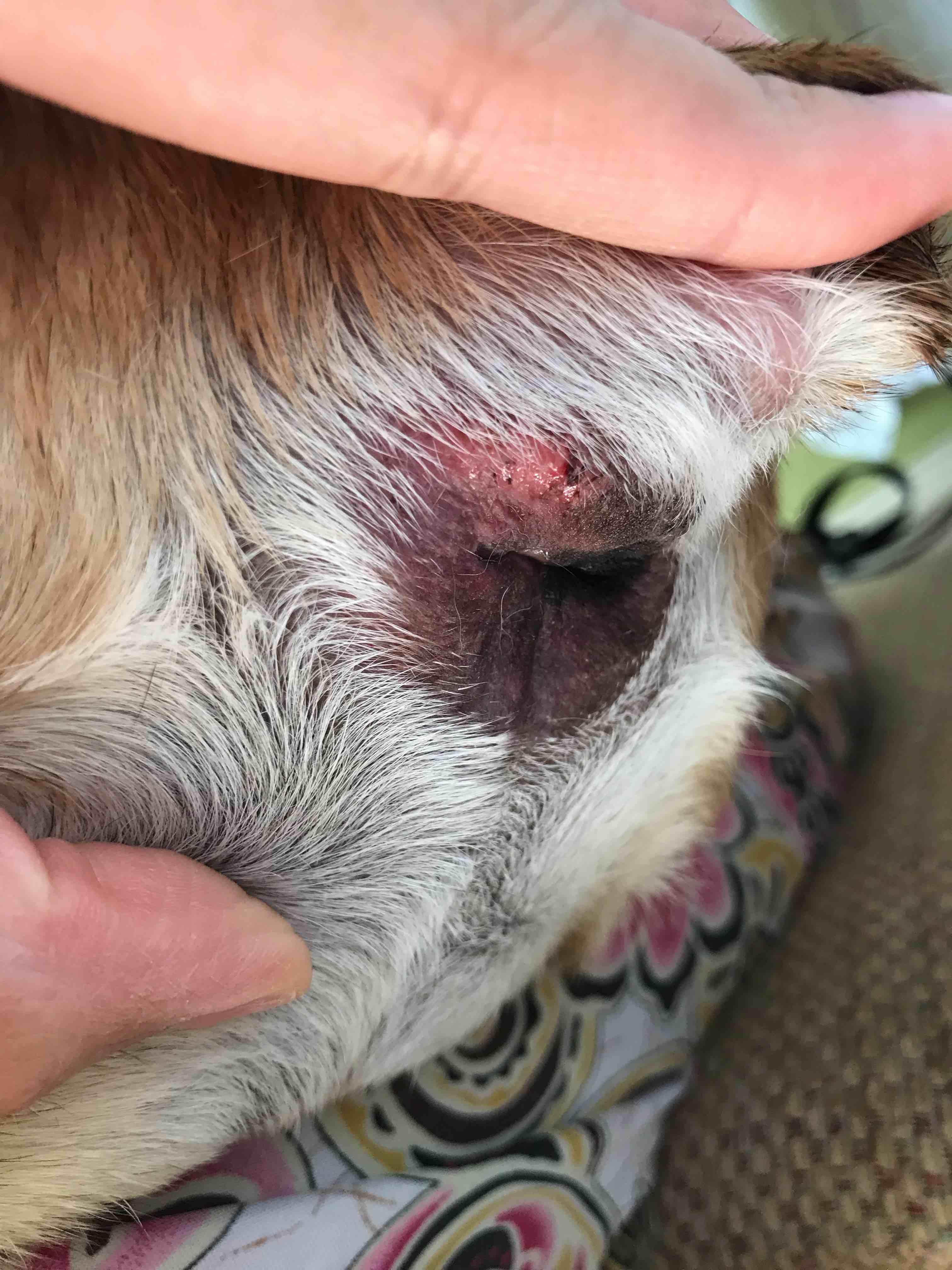 Question details sensitive content