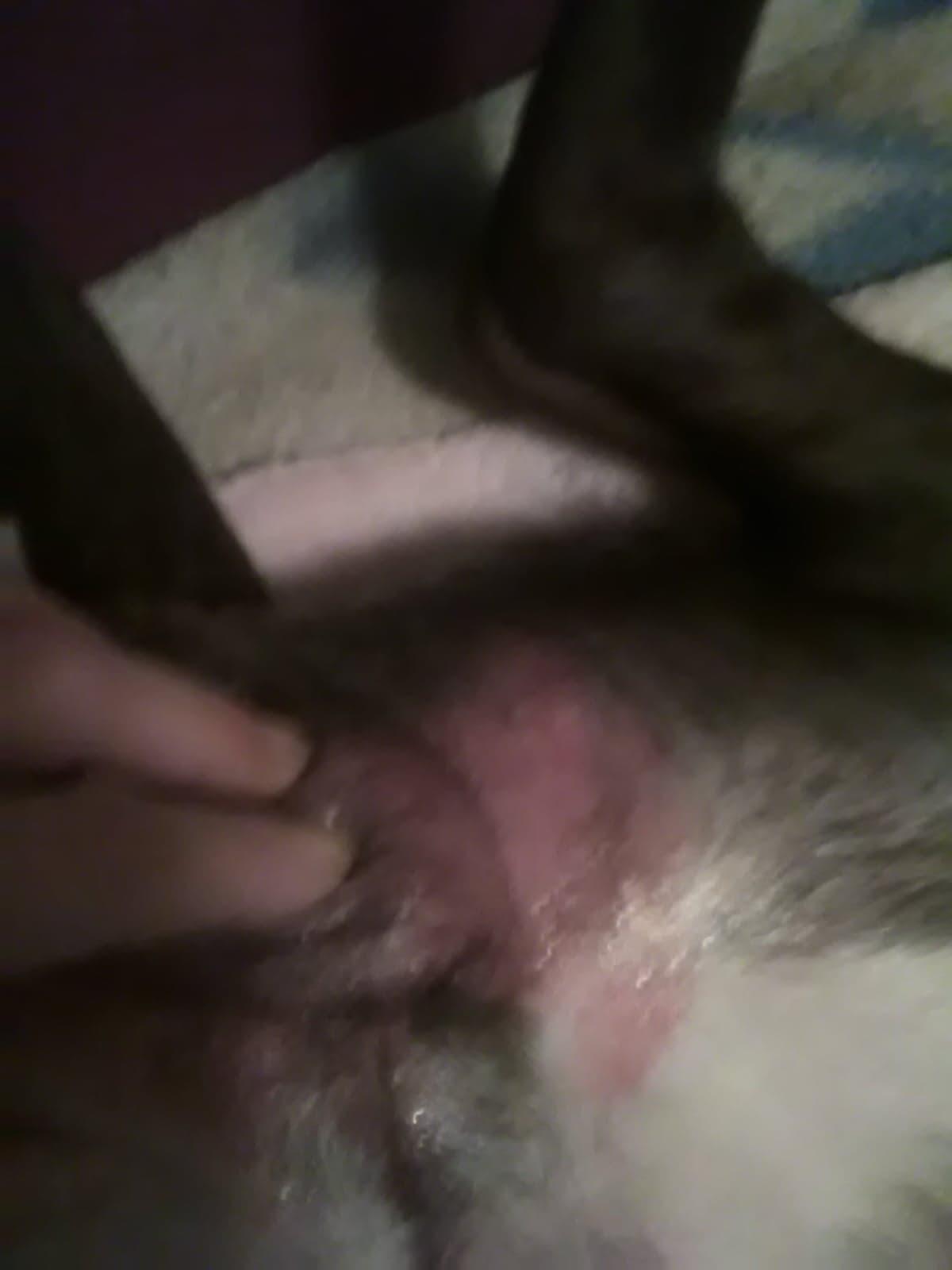 Question details sensitive content