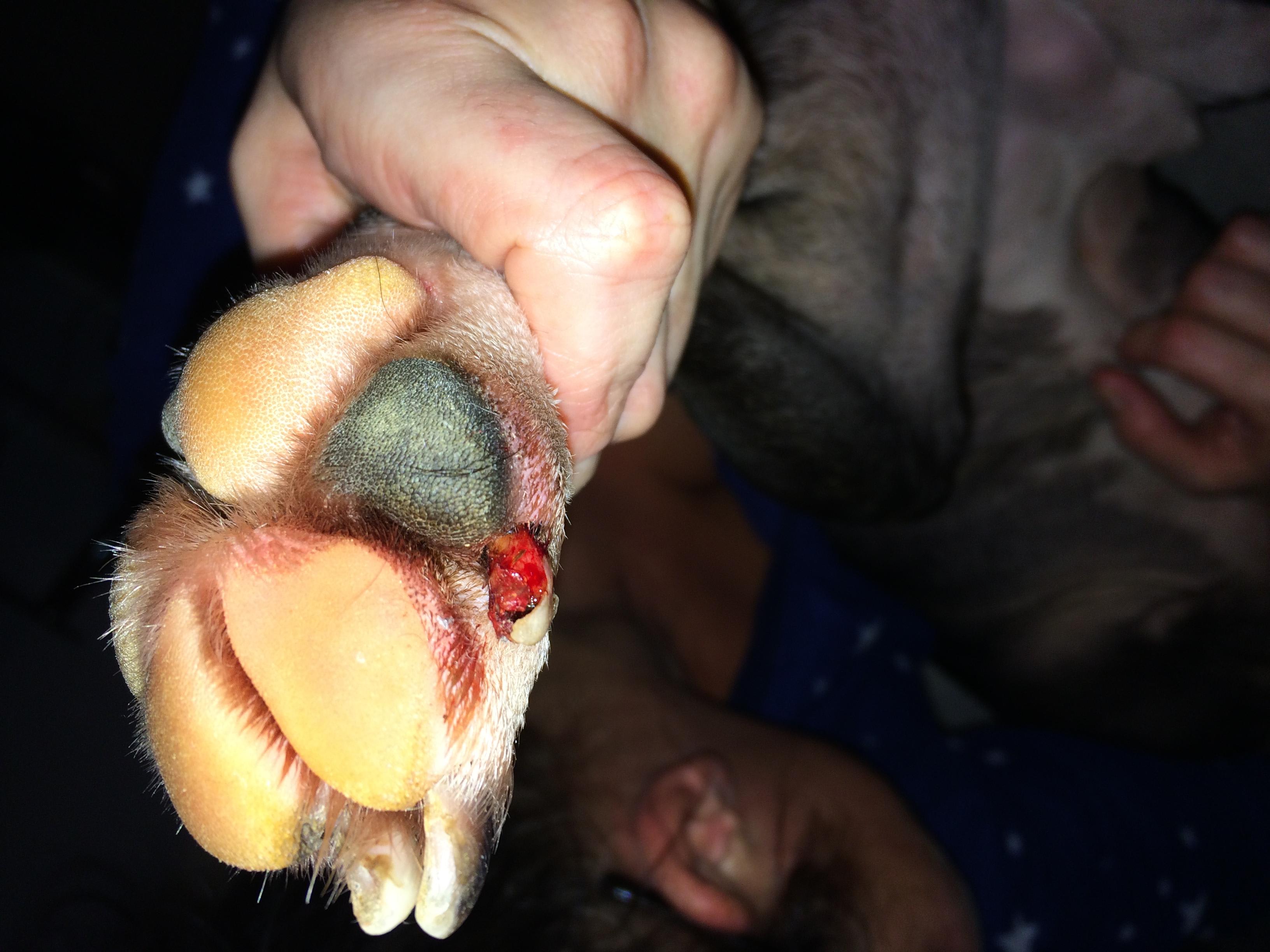 Question details sensitive content