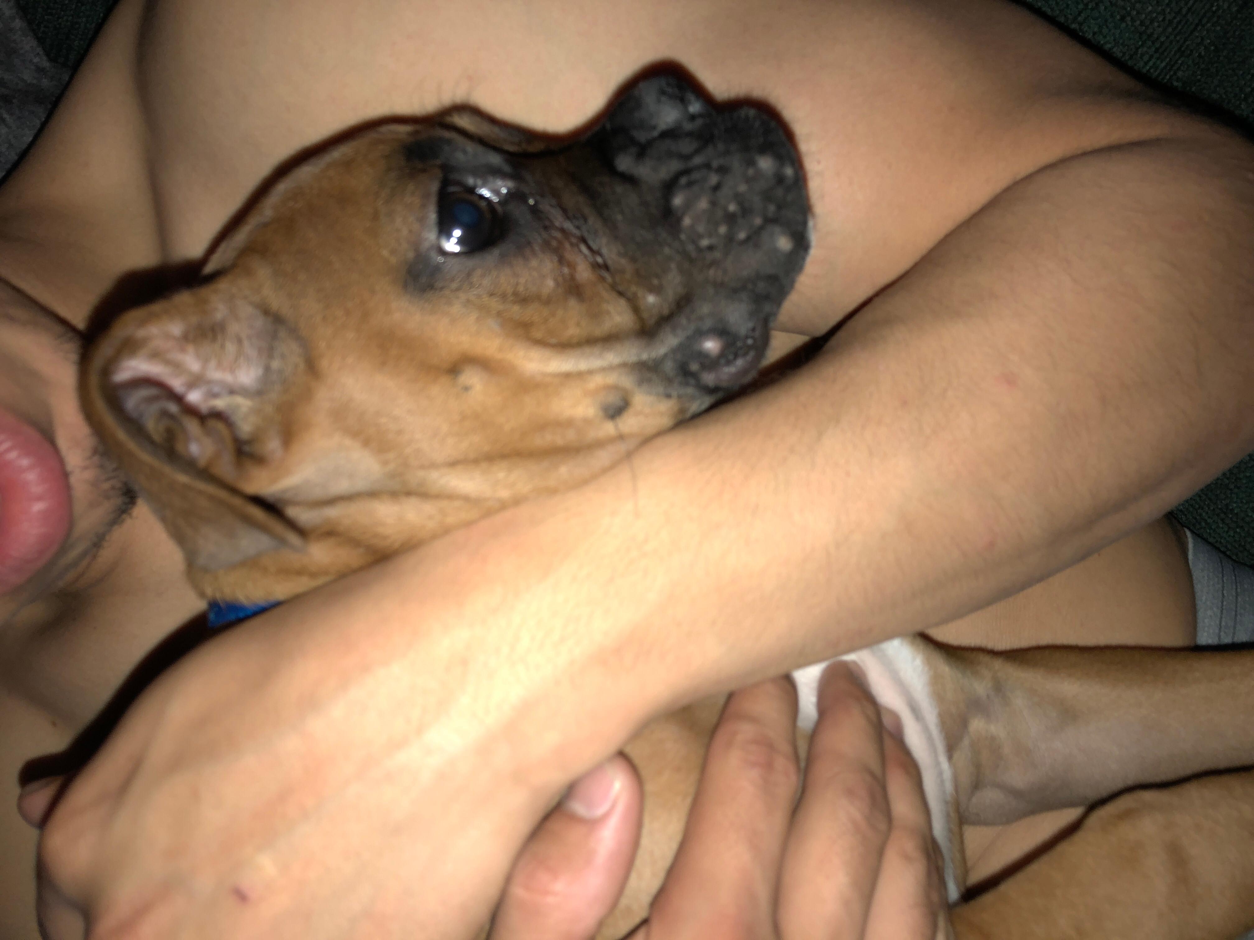 Question details sensitive content