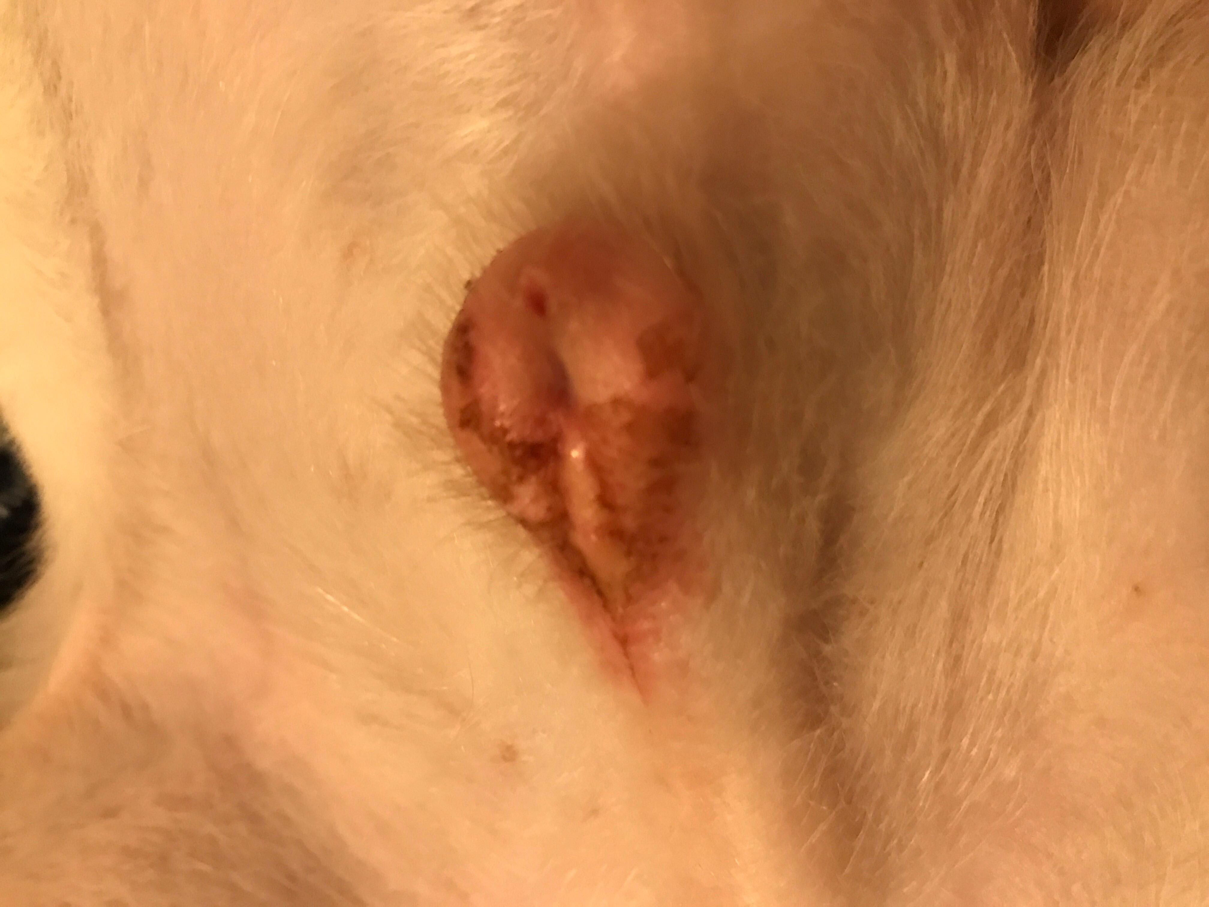 Question details sensitive content