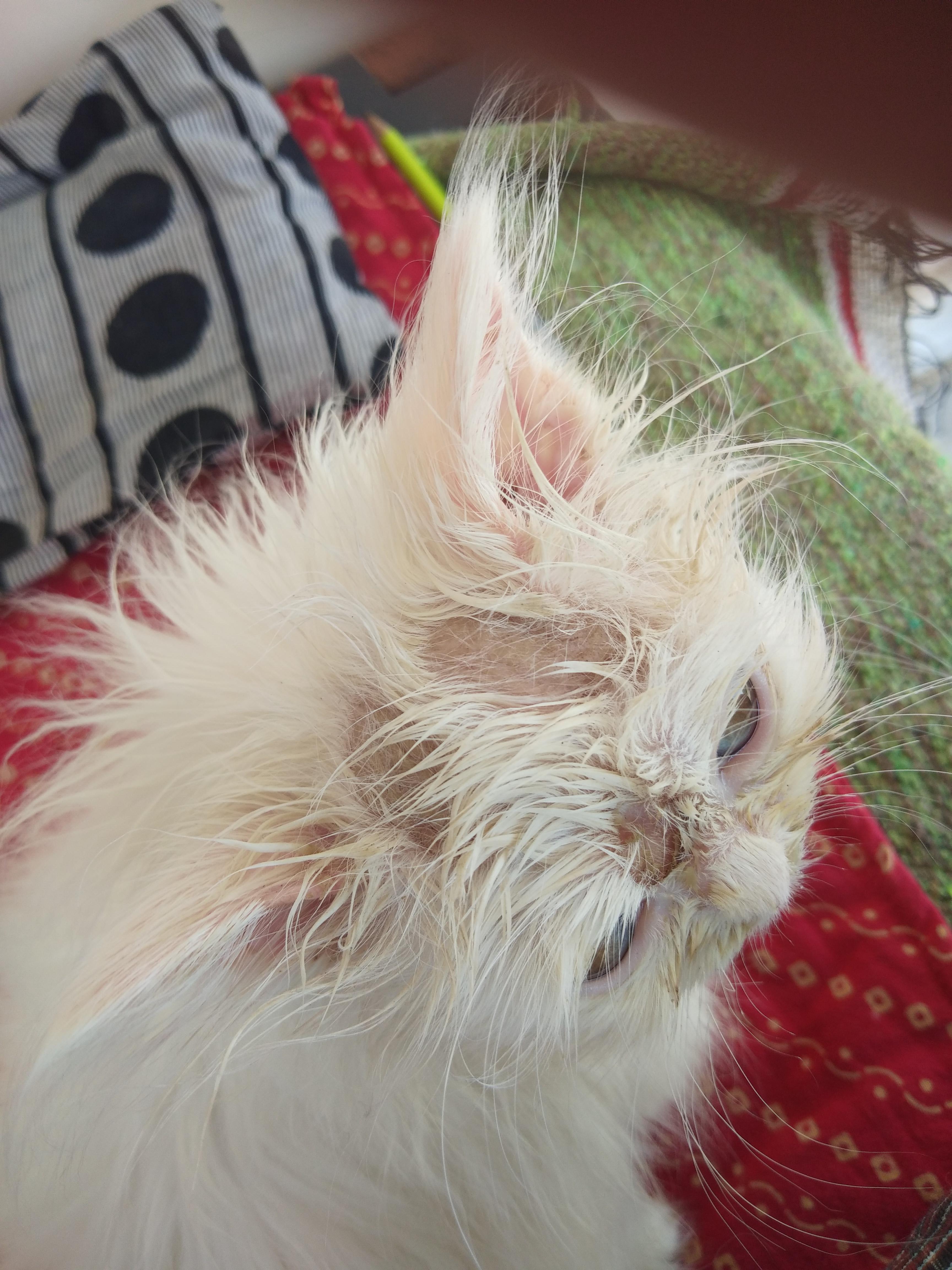 Question details sensitive content