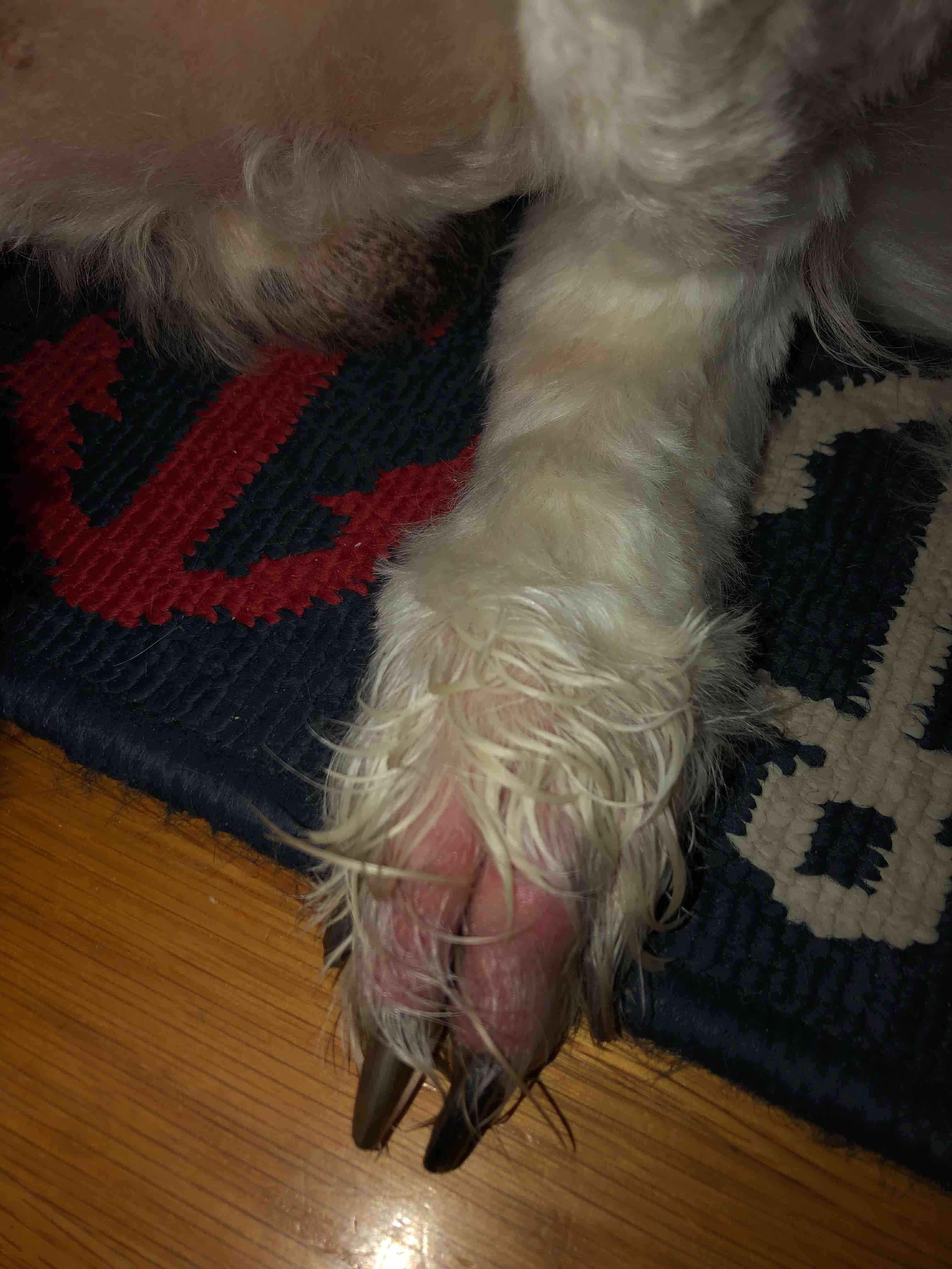 Question details sensitive content