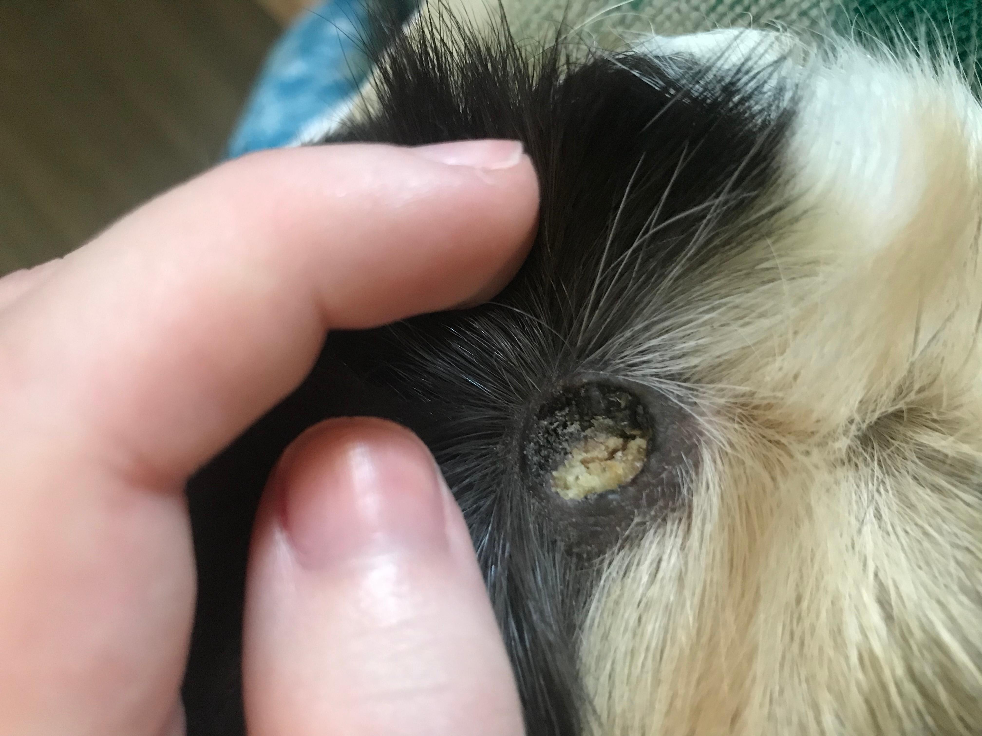 Question details sensitive content