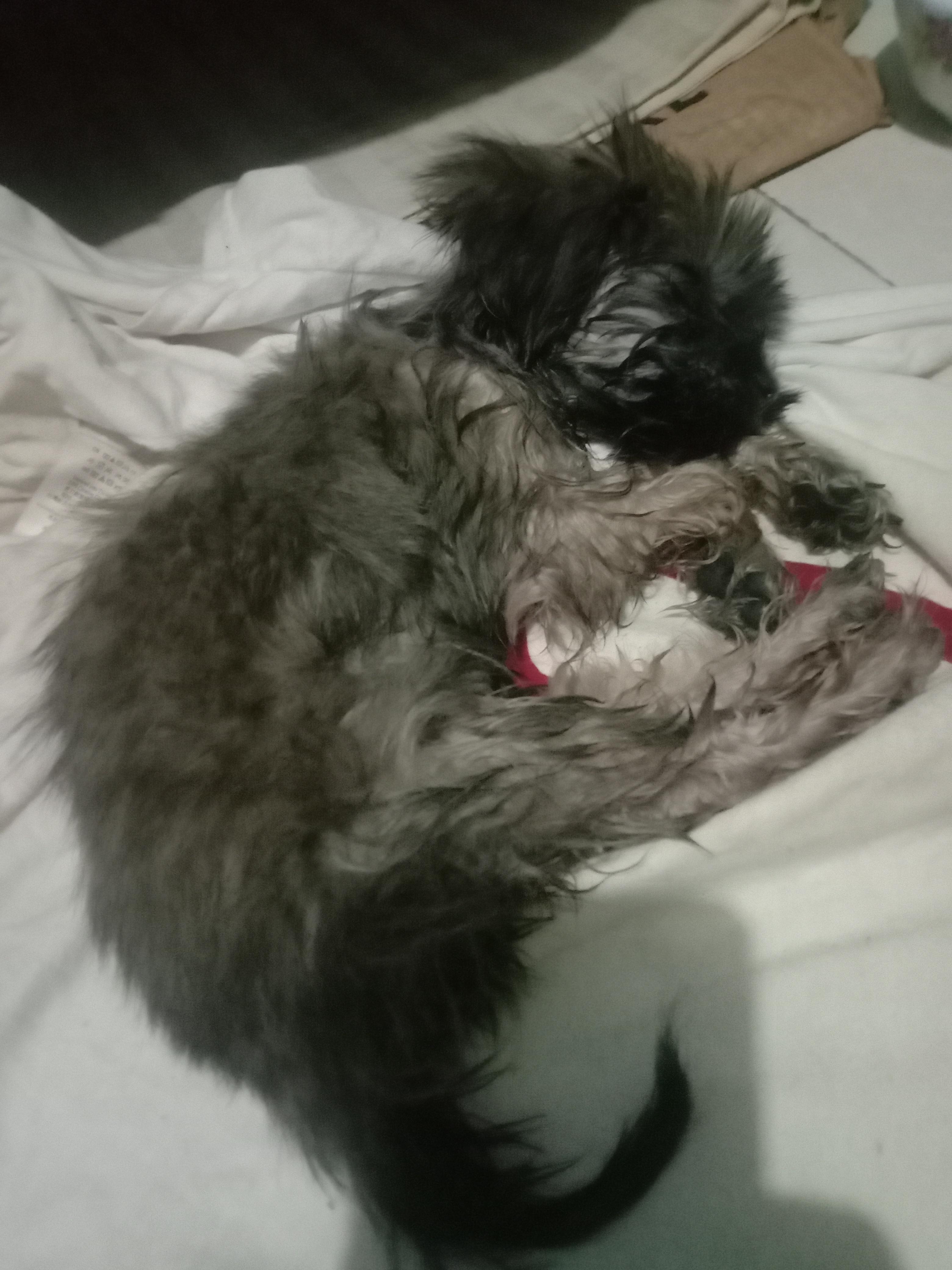 Question details sensitive content