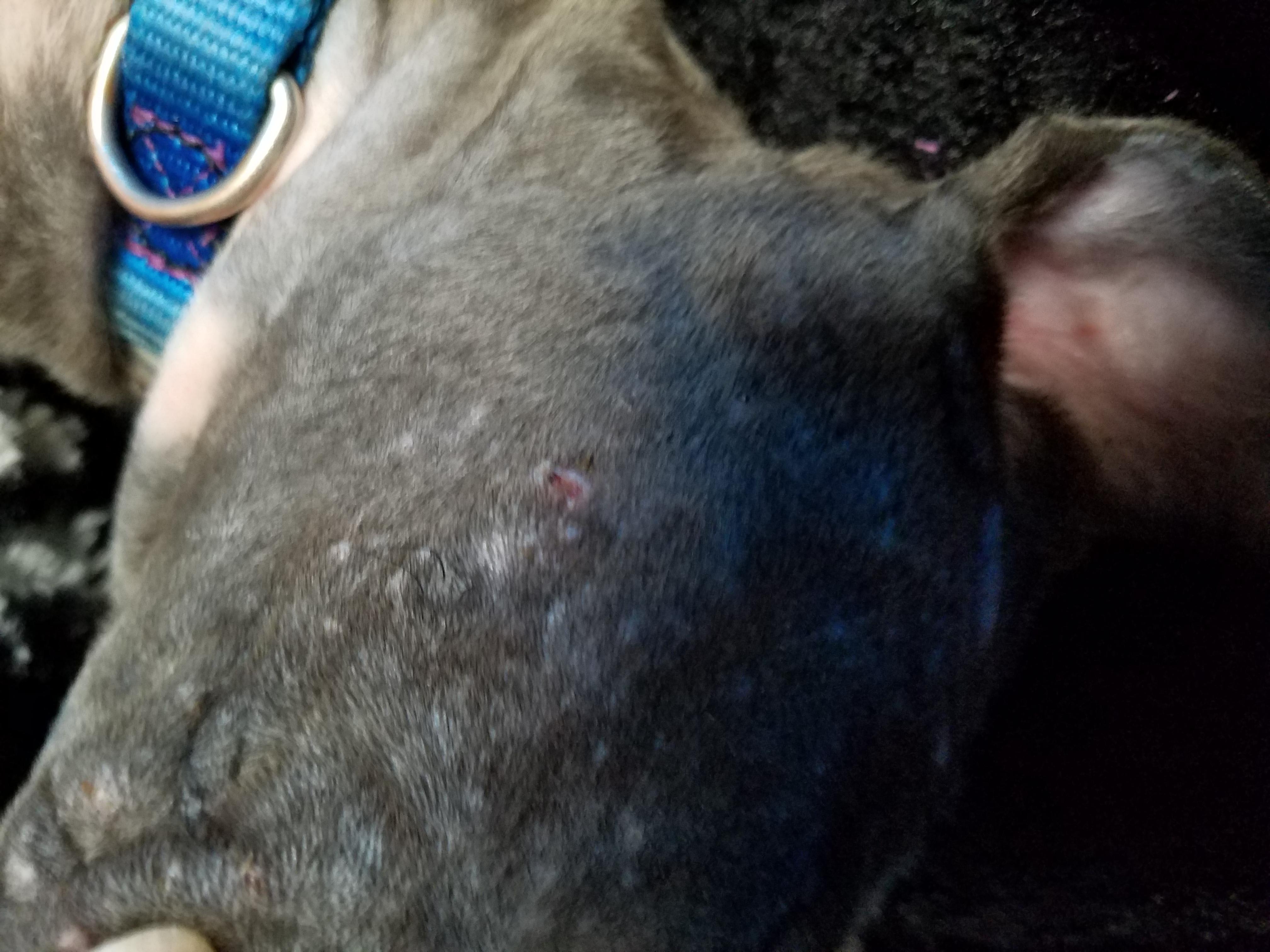 Question details sensitive content