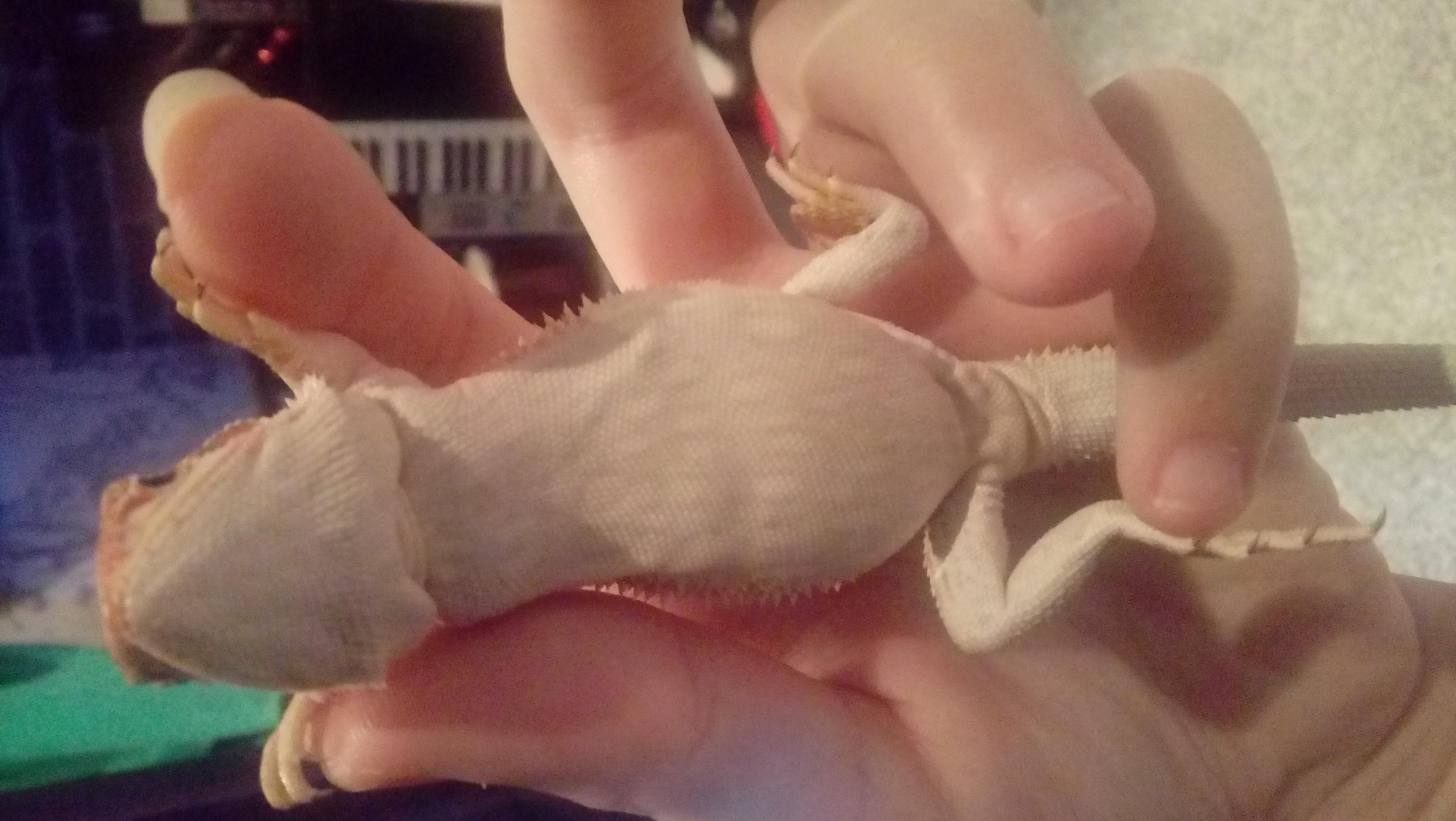 Question details sensitive content