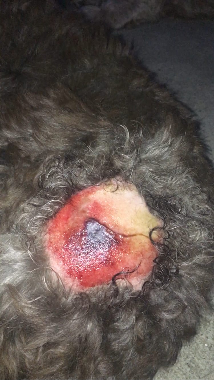 Question details sensitive content