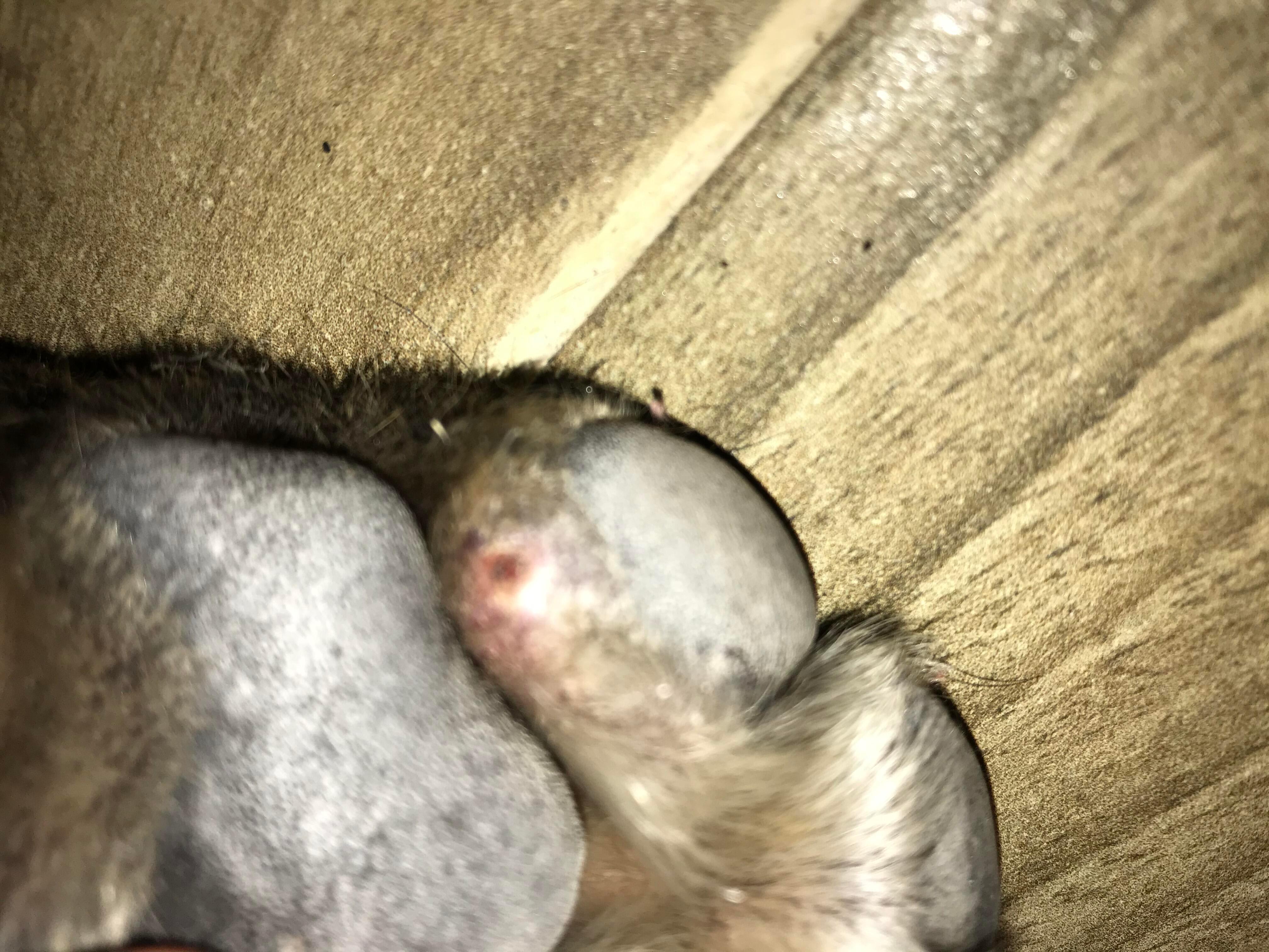 Question details sensitive content