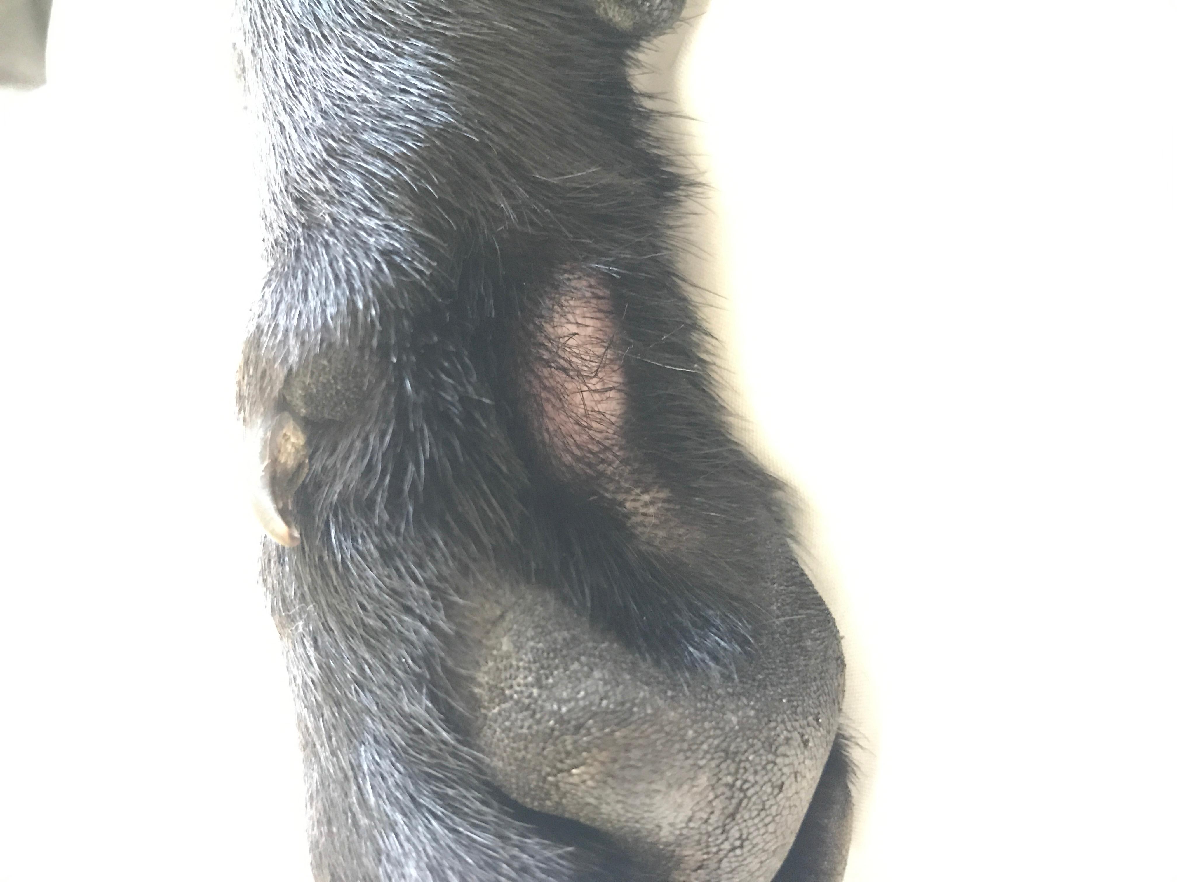 Question details sensitive content