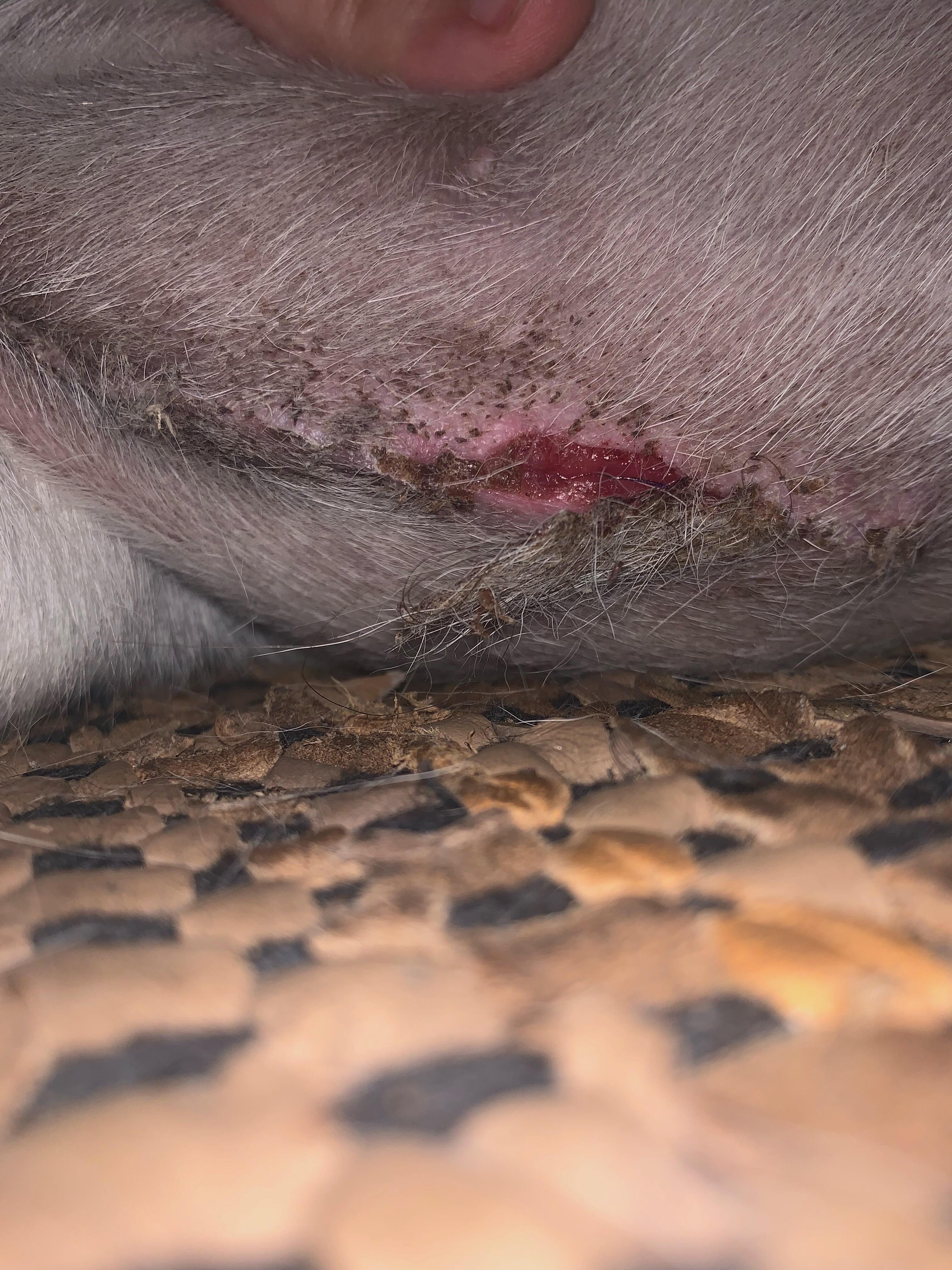 Question details sensitive content