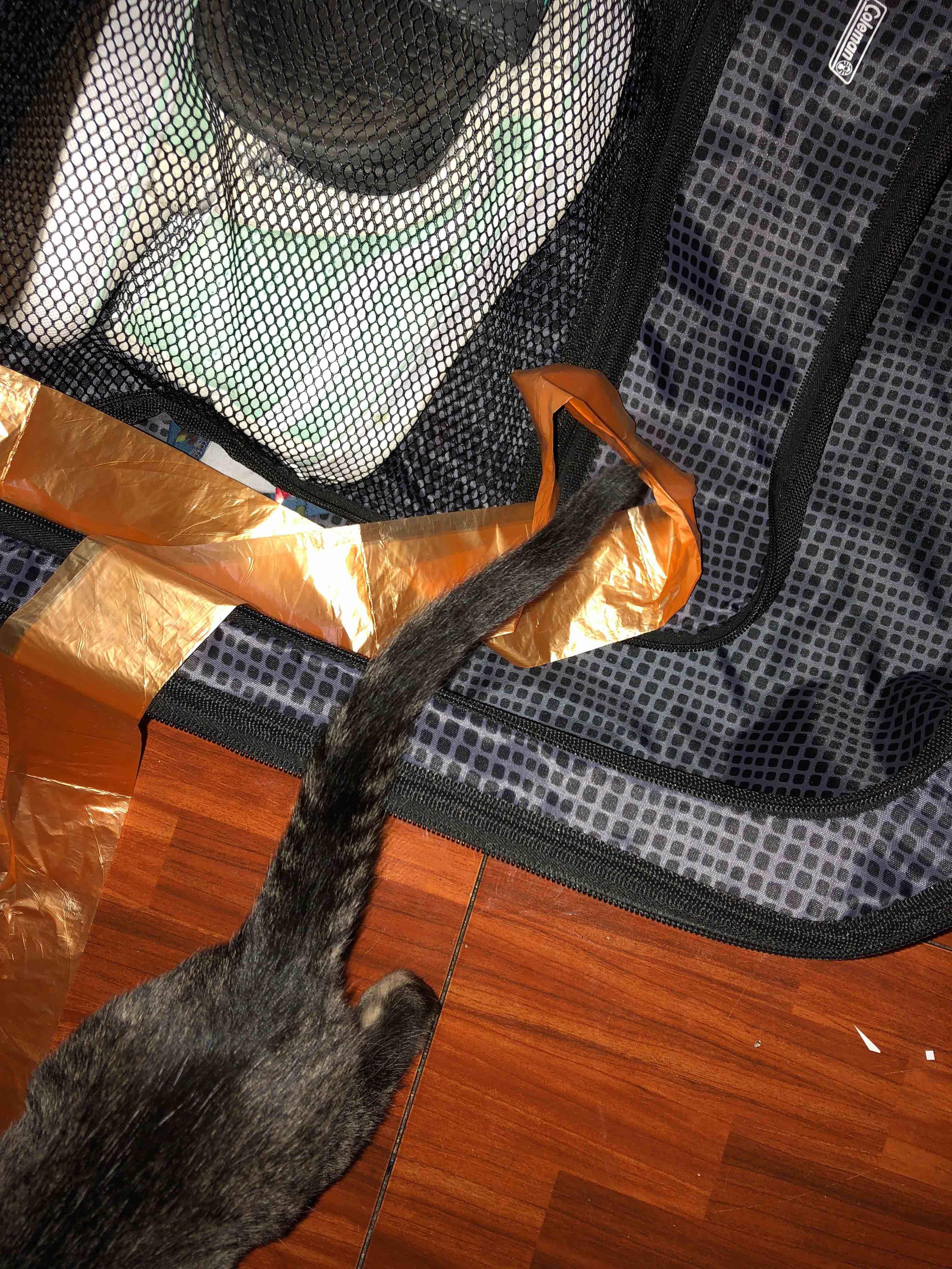 Question details sensitive content