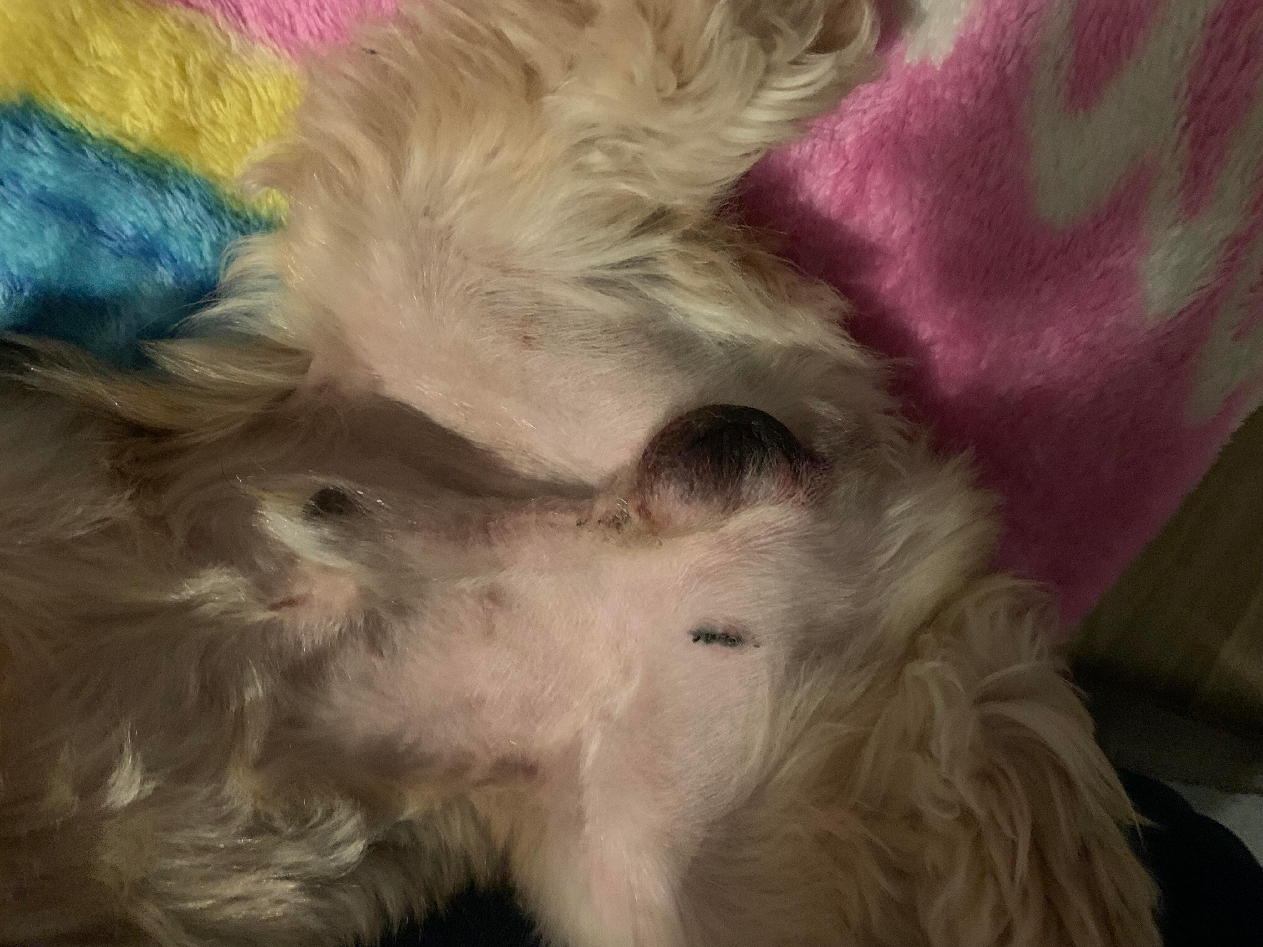 Question details sensitive content