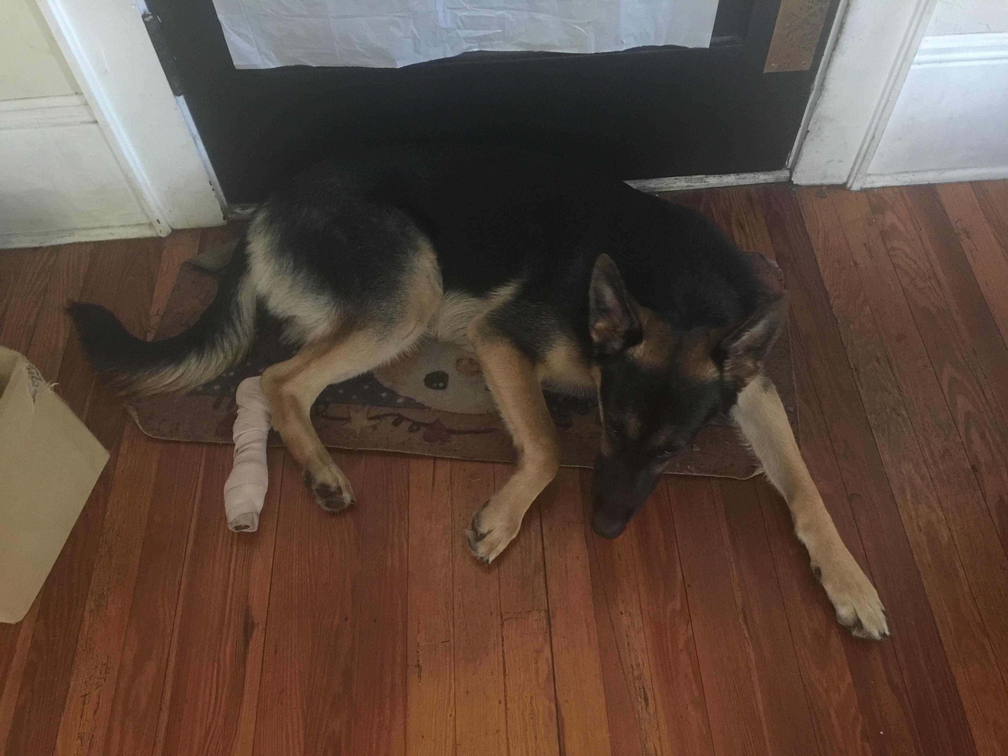 Question details sensitive content