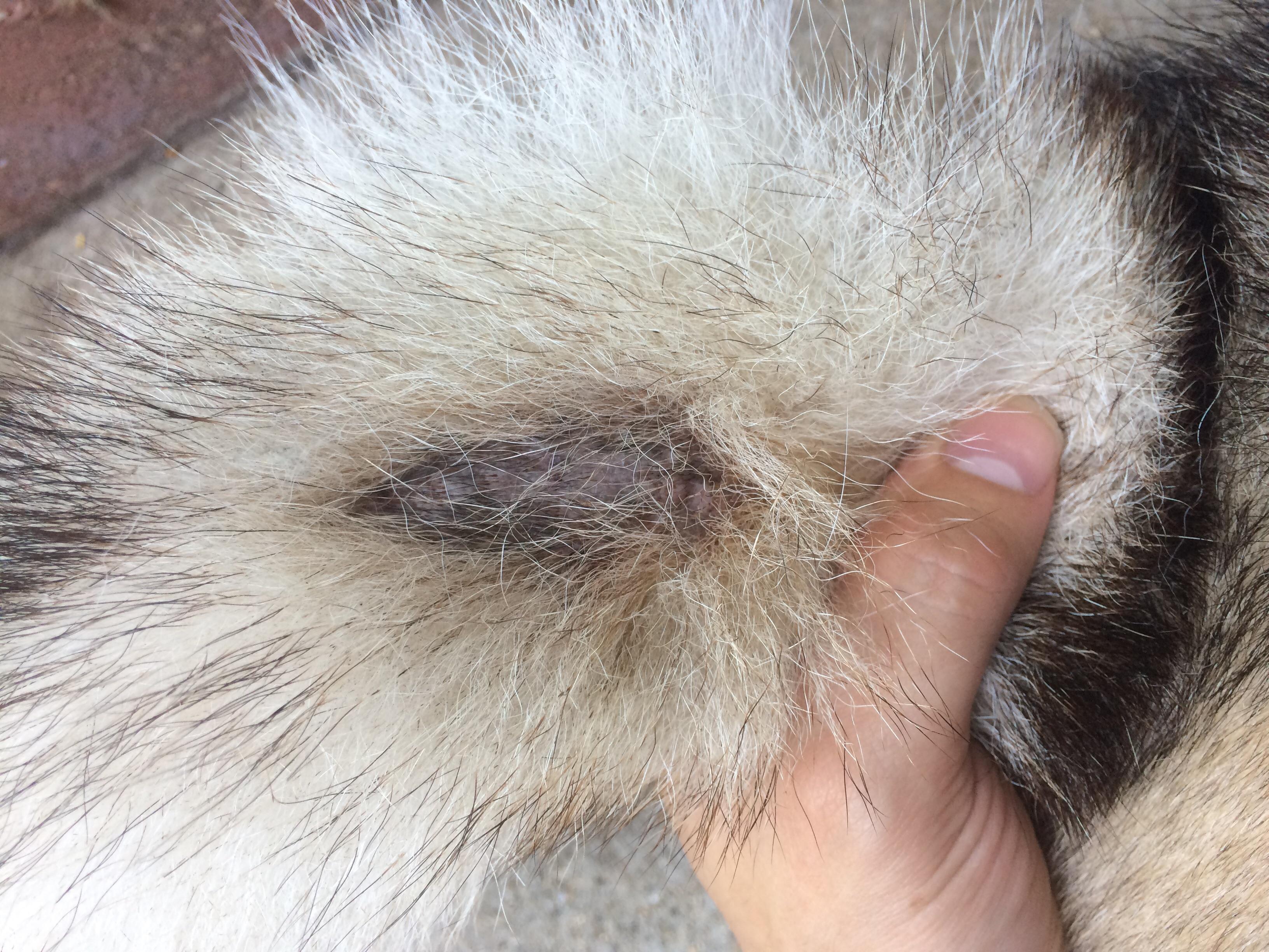 Question details sensitive content