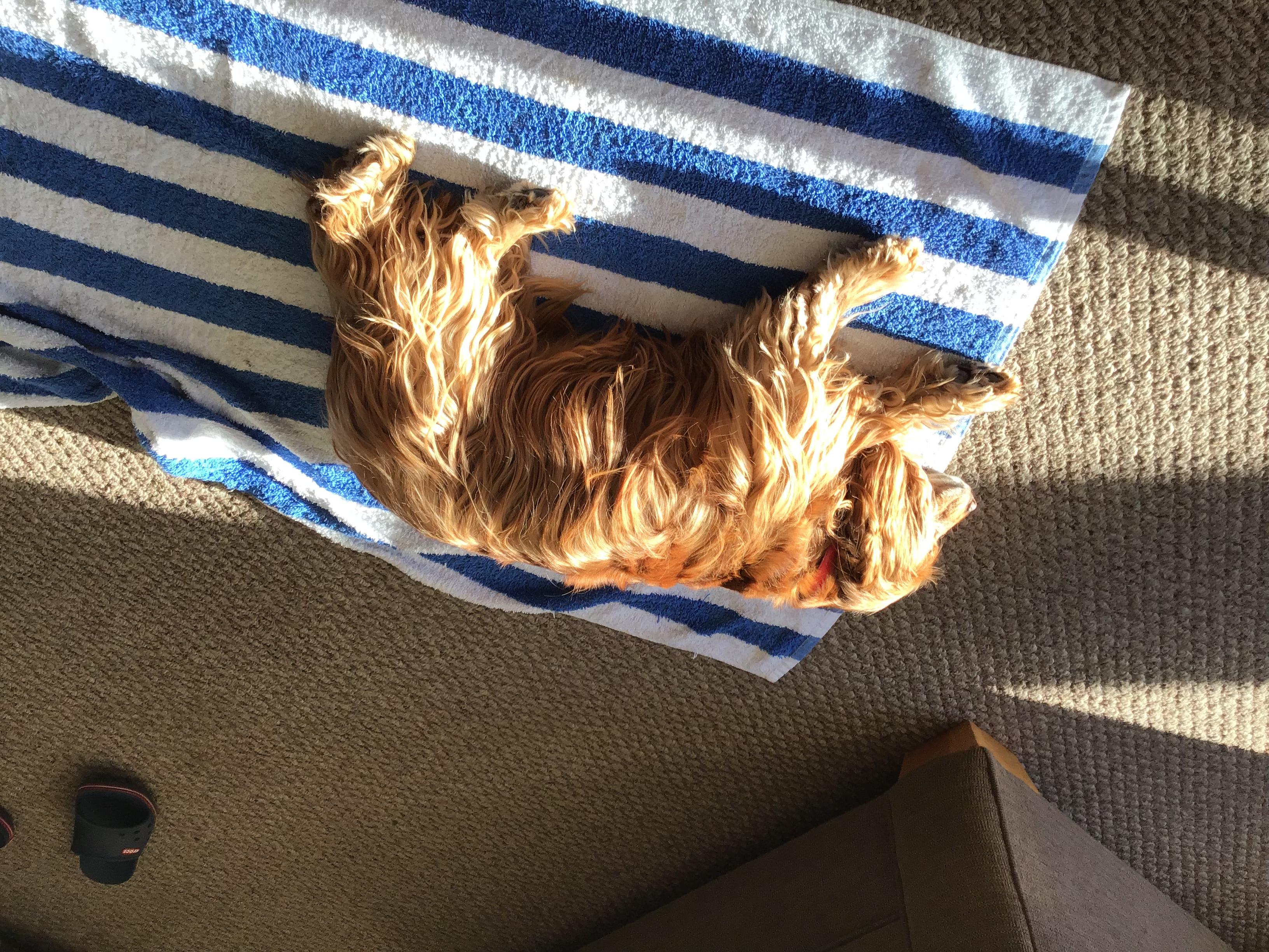 Question details sensitive content