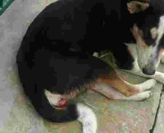 Question details sensitive content