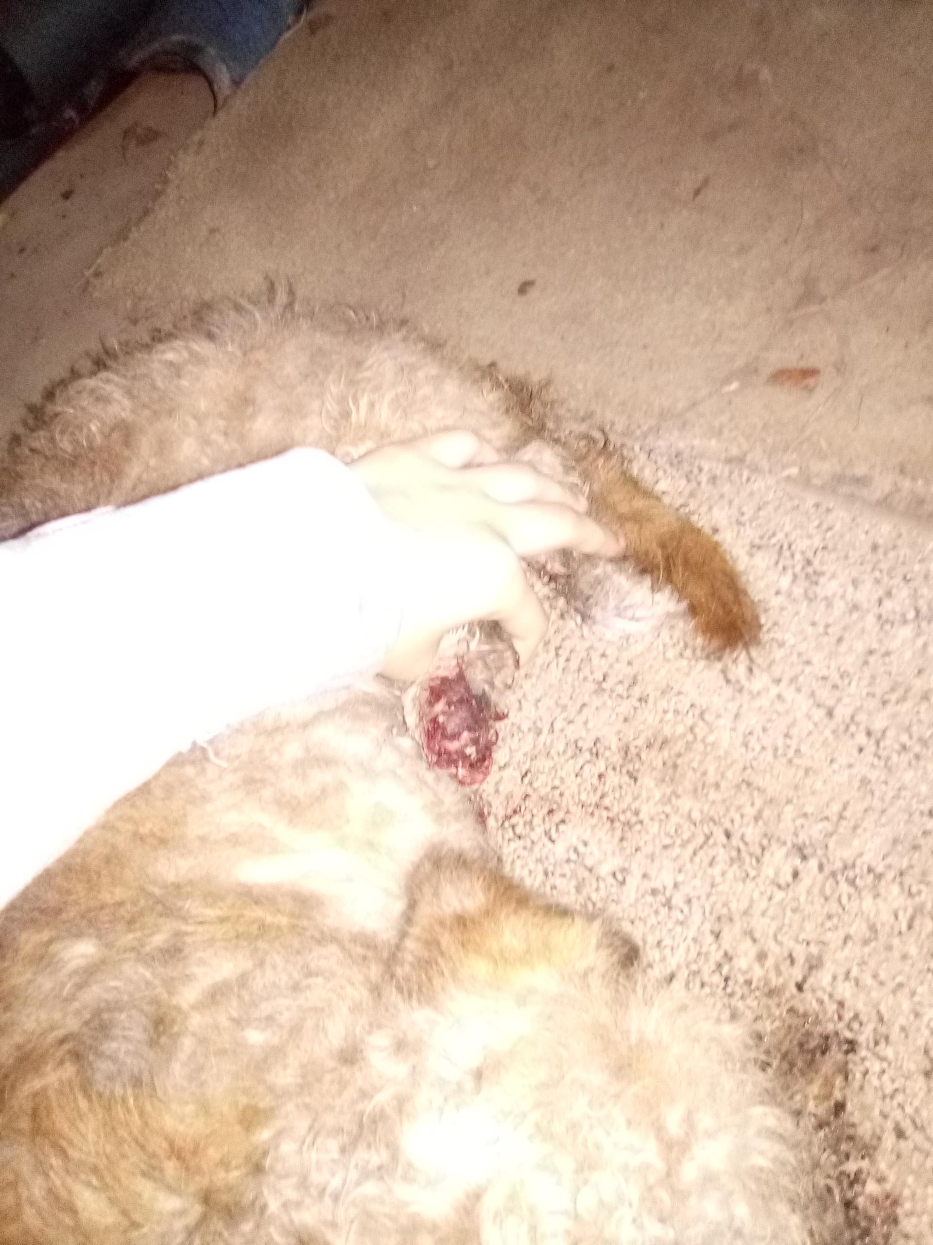 Question details sensitive content